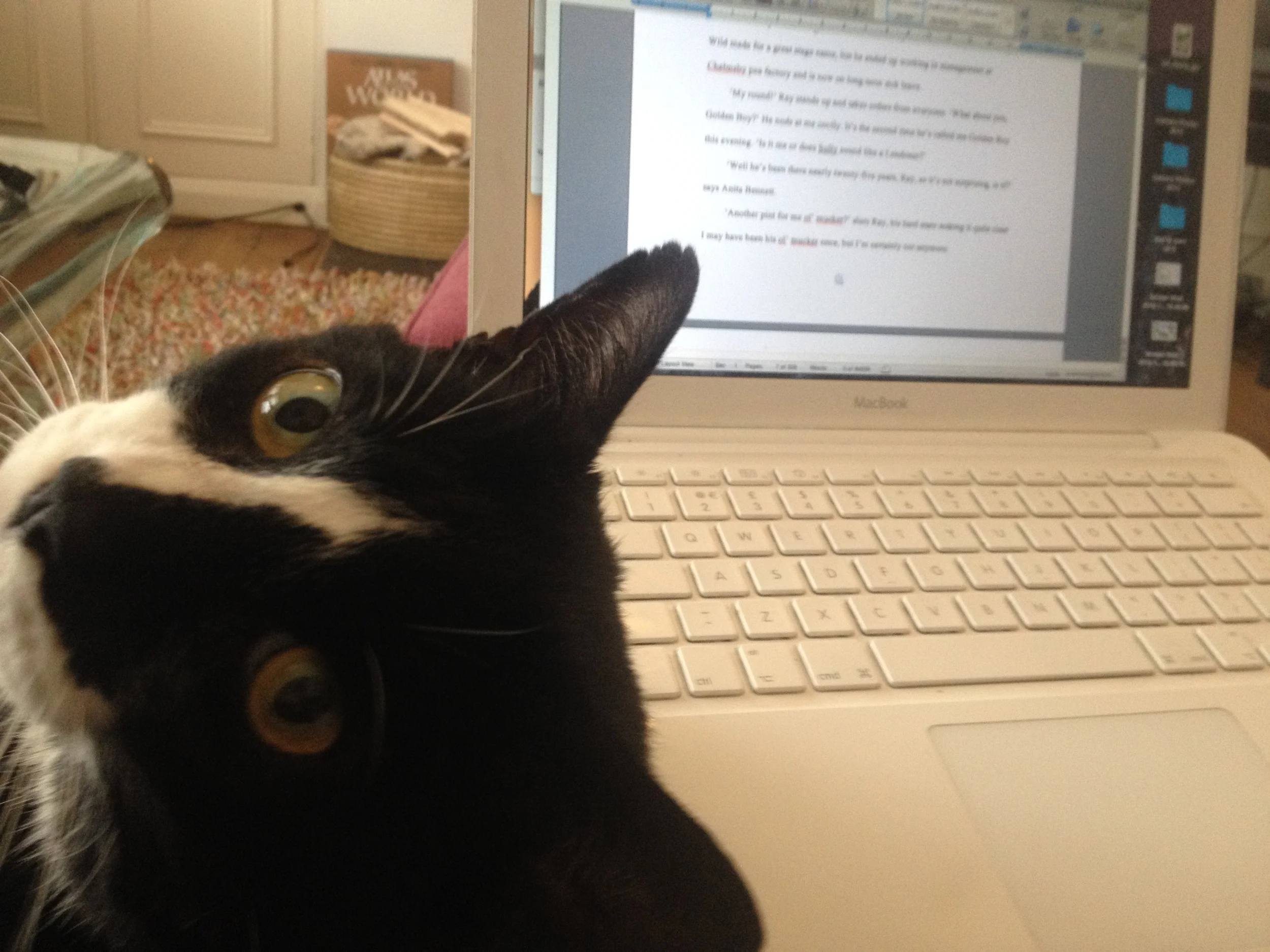 Wherever Tasha is working, Ted is sure to be close by.