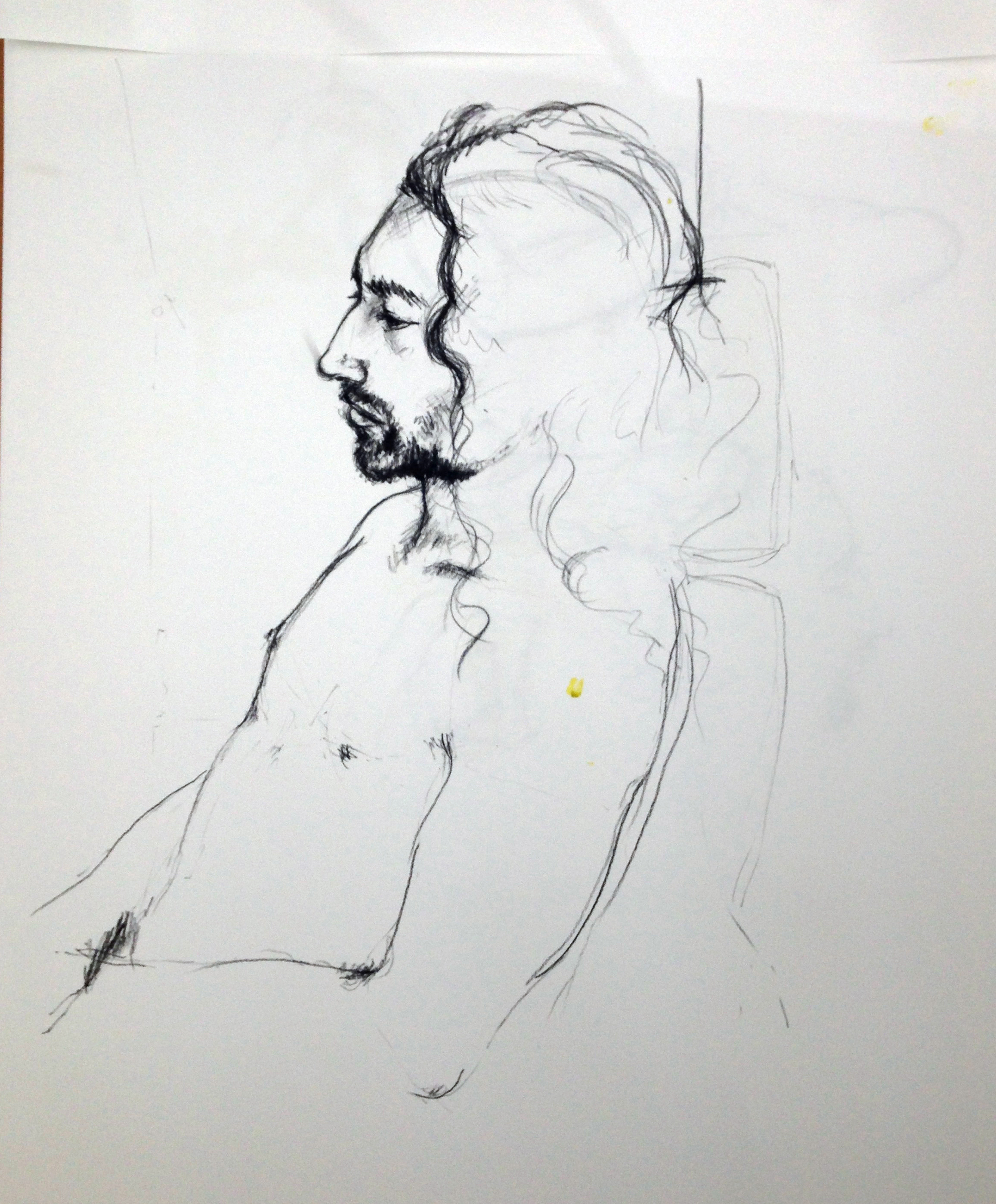 One of my first Life Drawings of Felix. November 2014.