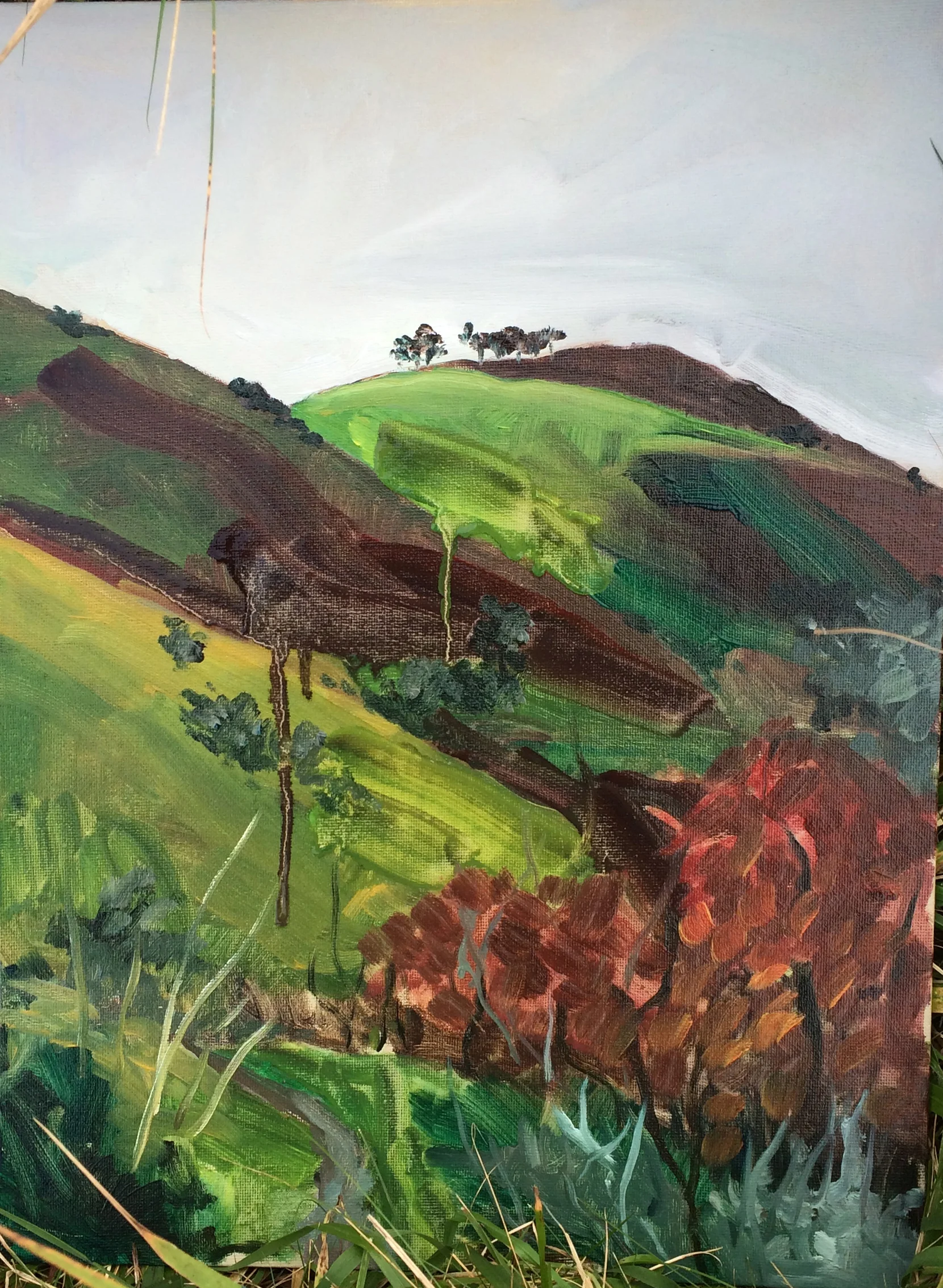 Devils Dyke