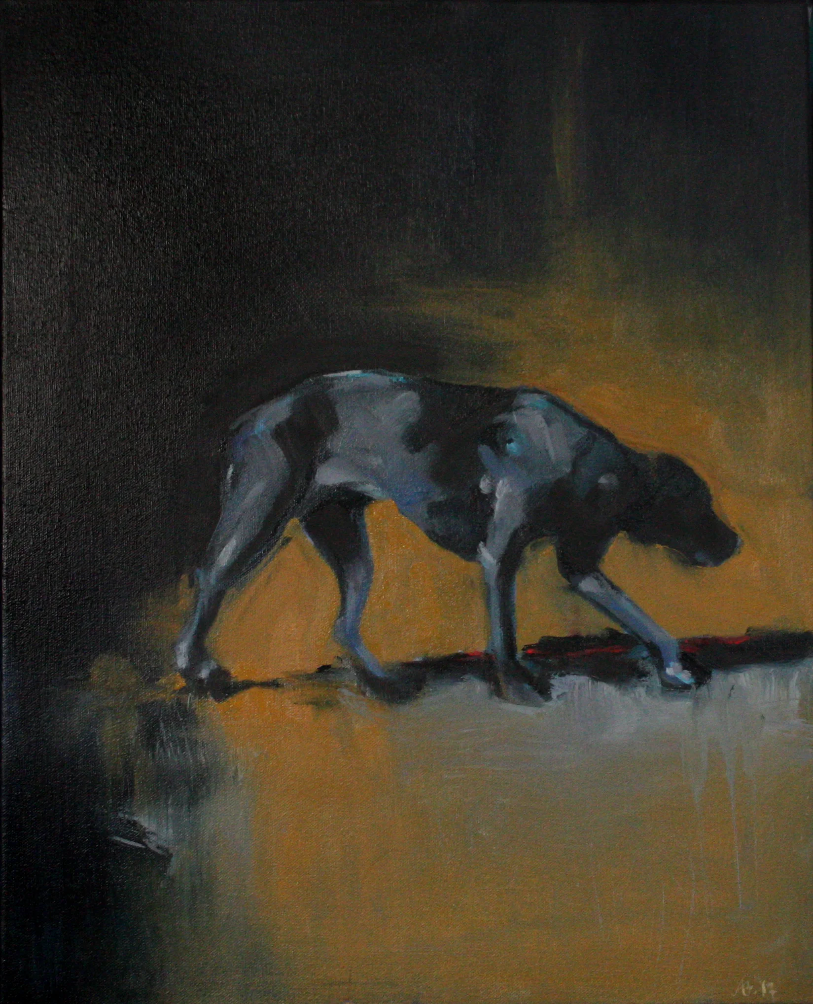 Study of a Black Dog #1