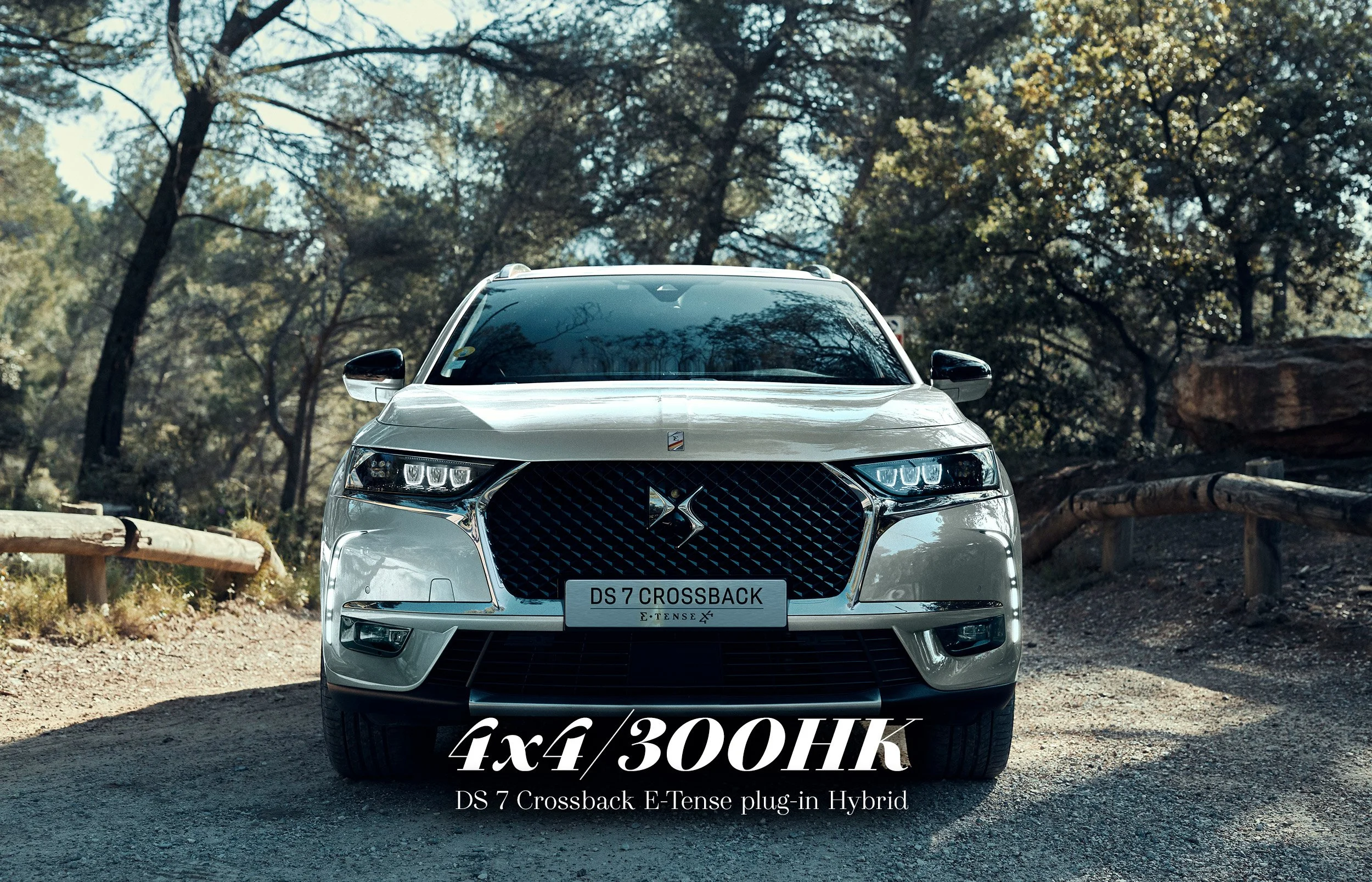 ds7_etense_toppbanner.jpg