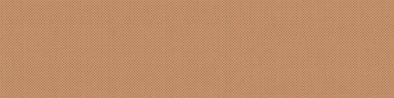hagedorn-web-banner-brown.jpg
