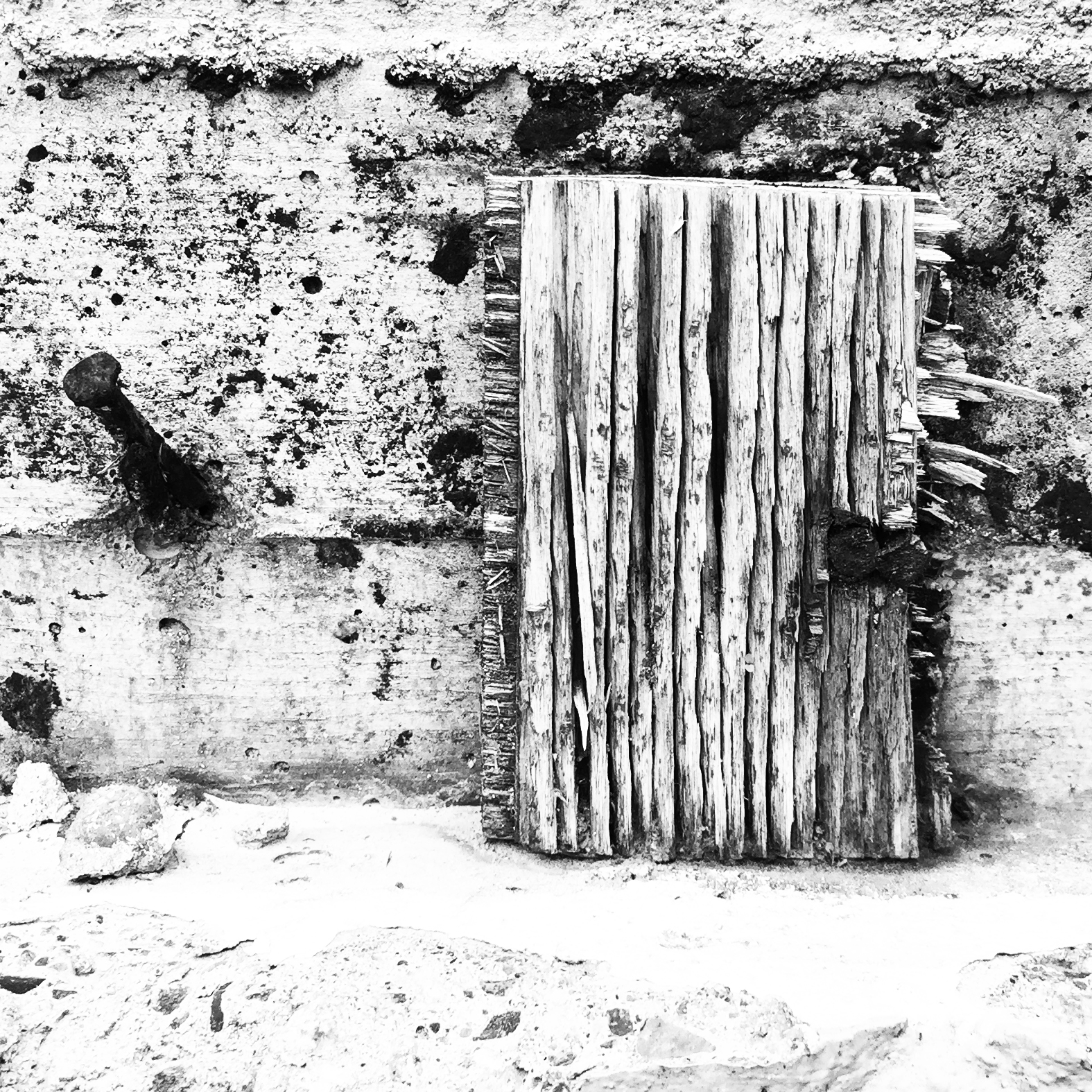 A weathered scrap of plywood on foundation wall. Image by Leif Shepard.
