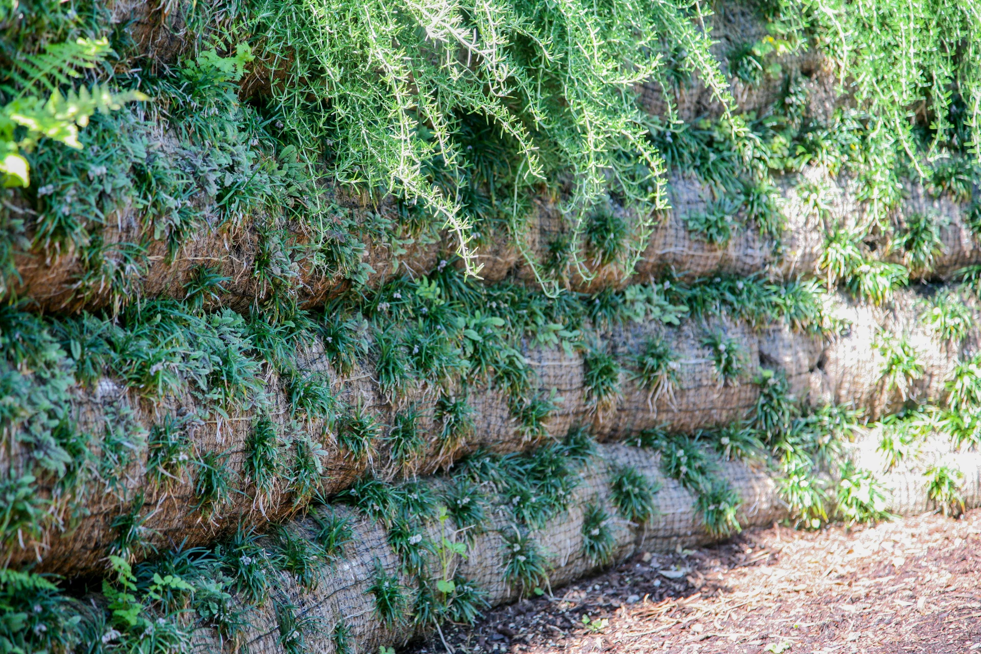 Living wall