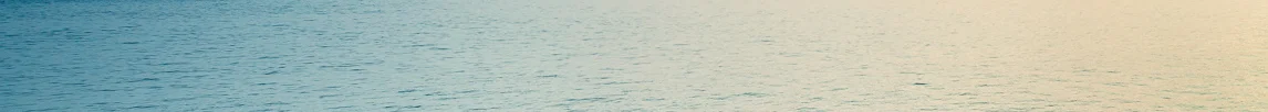 Banner Image.jpg