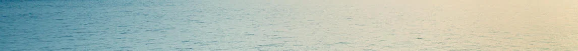 Banner.jpg