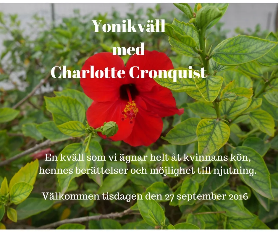 yonikväll.jpeg