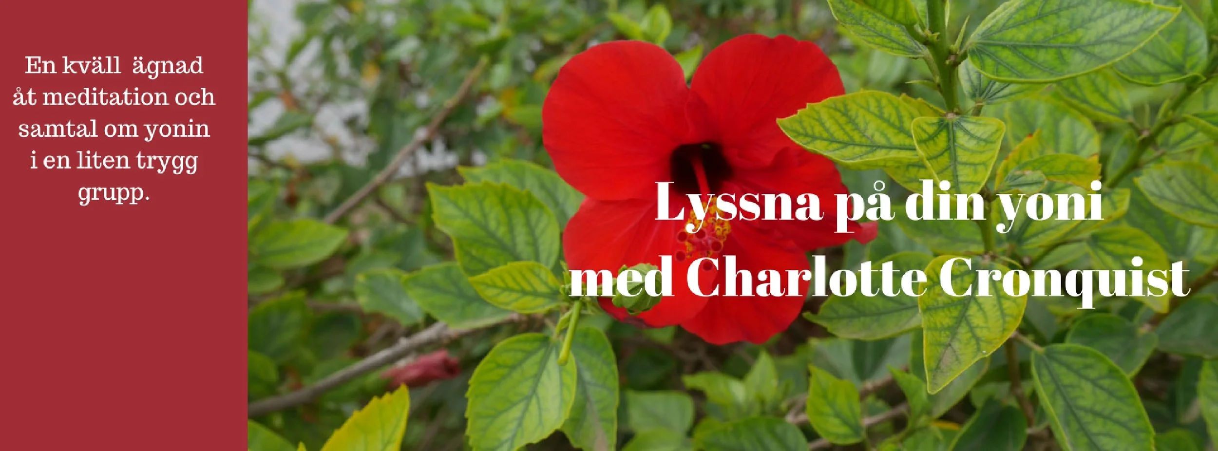 lyssnayoni.jpeg