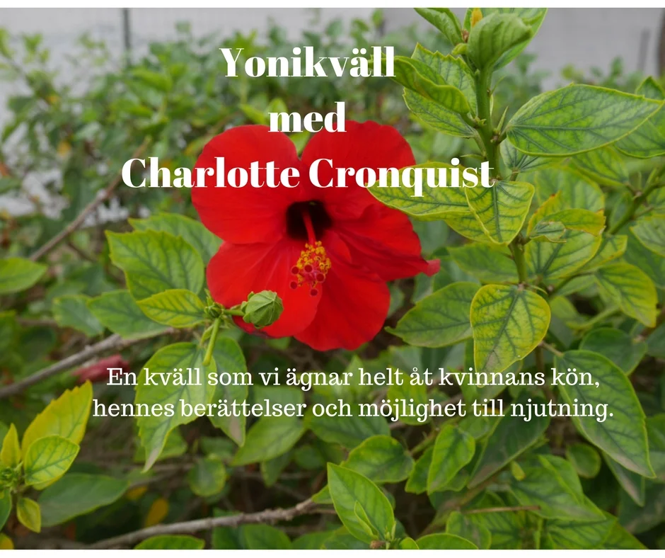 yonikväll.jpeg