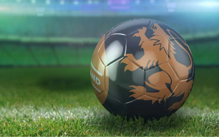 soccer ball - holland2.jpg