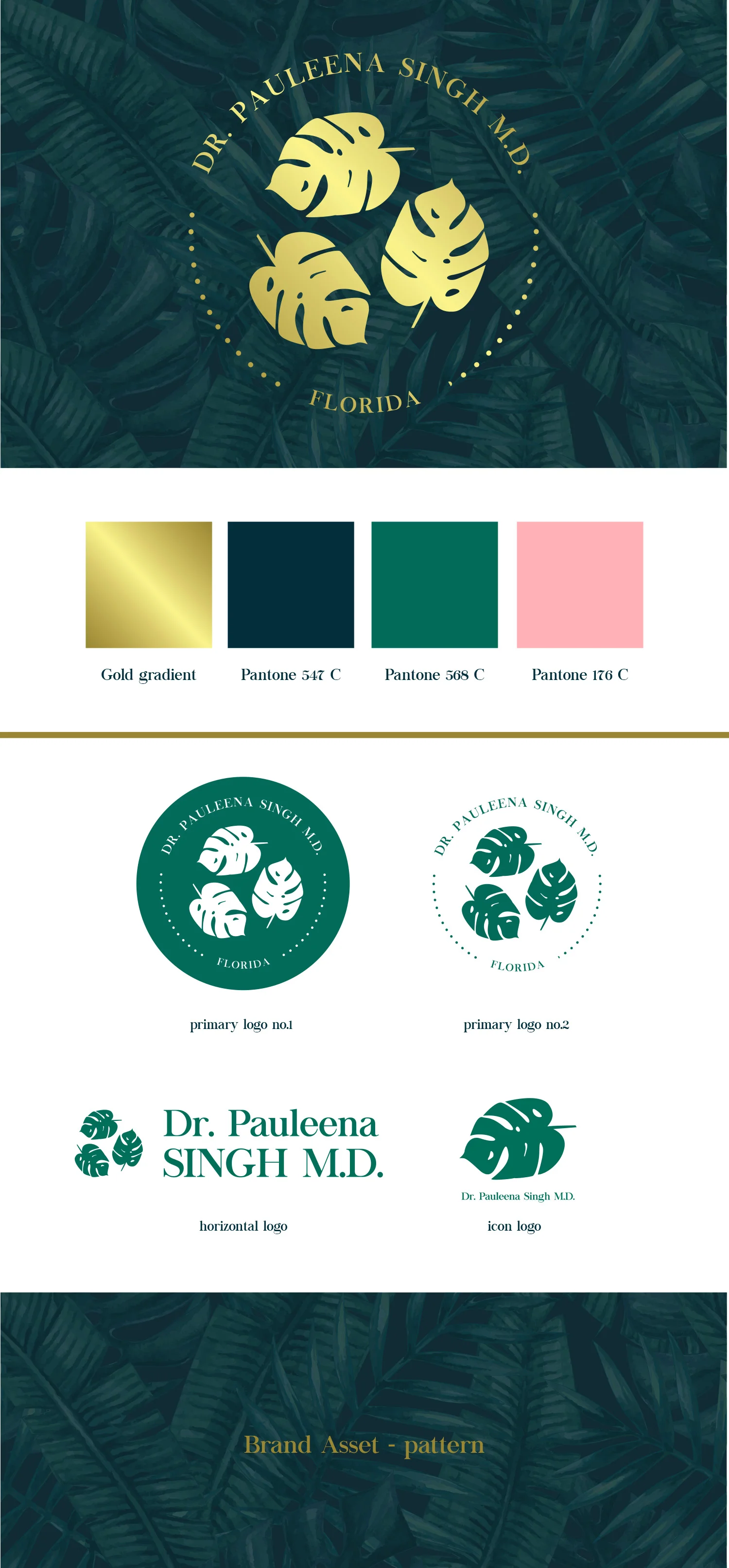 DR PS Visual Presentation.jpg