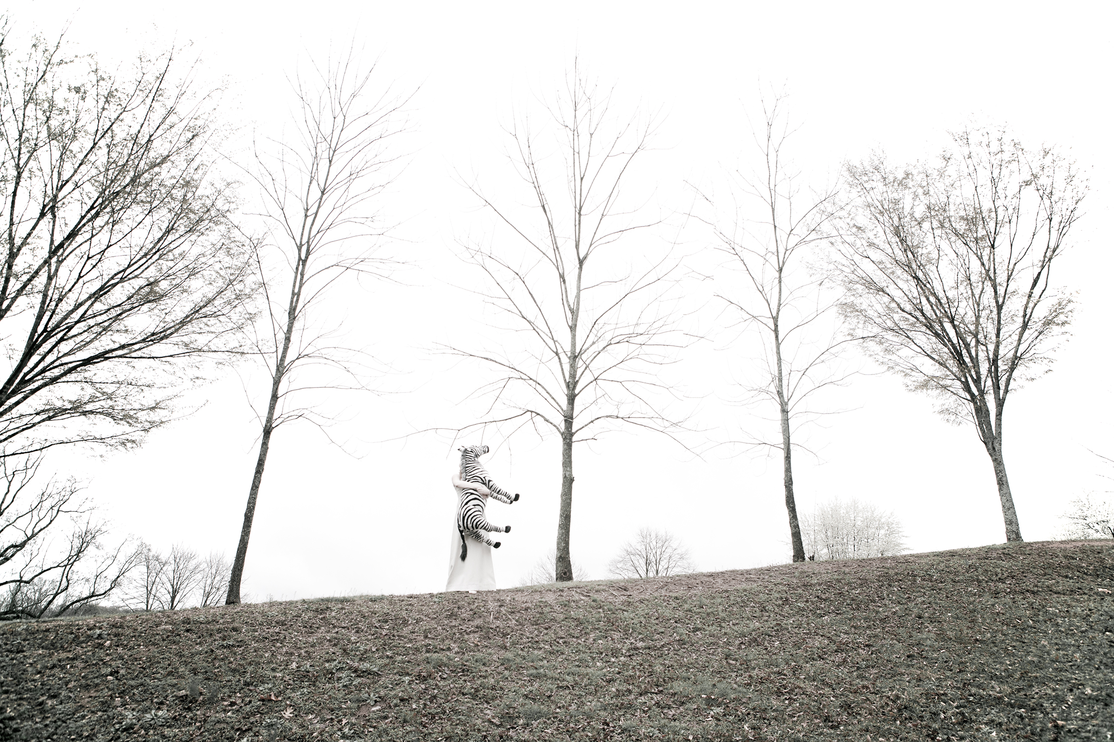 _N3T7467_resize.jpg