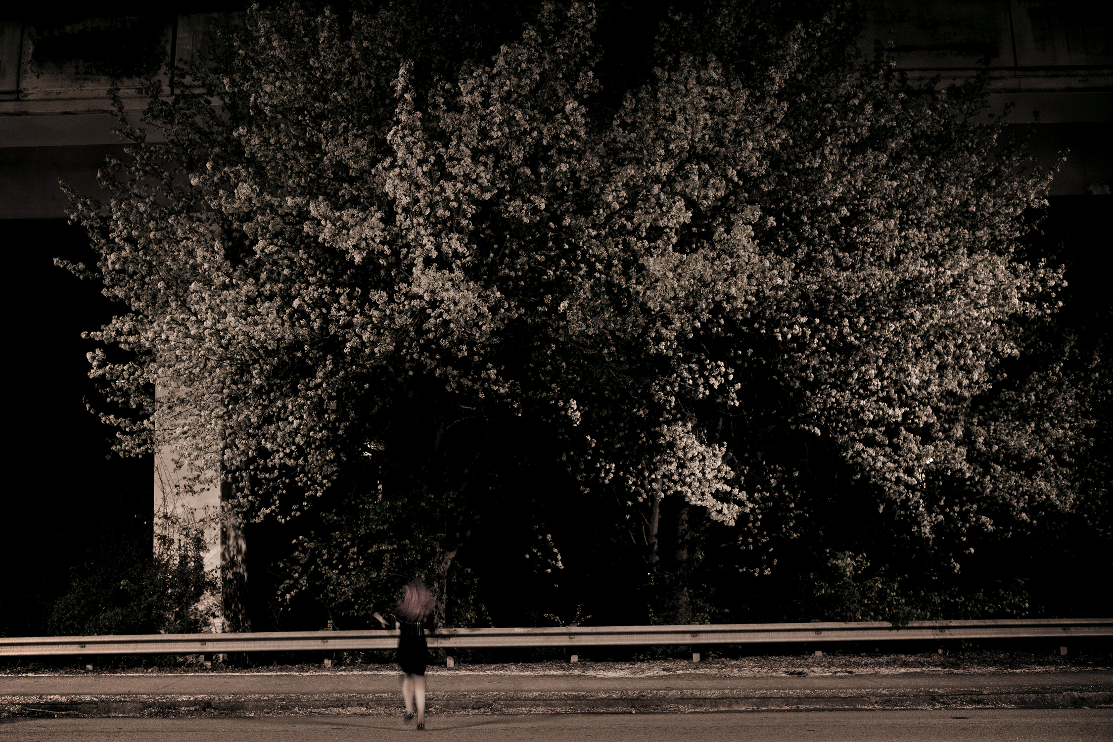 IMG_0442R_resize.jpg