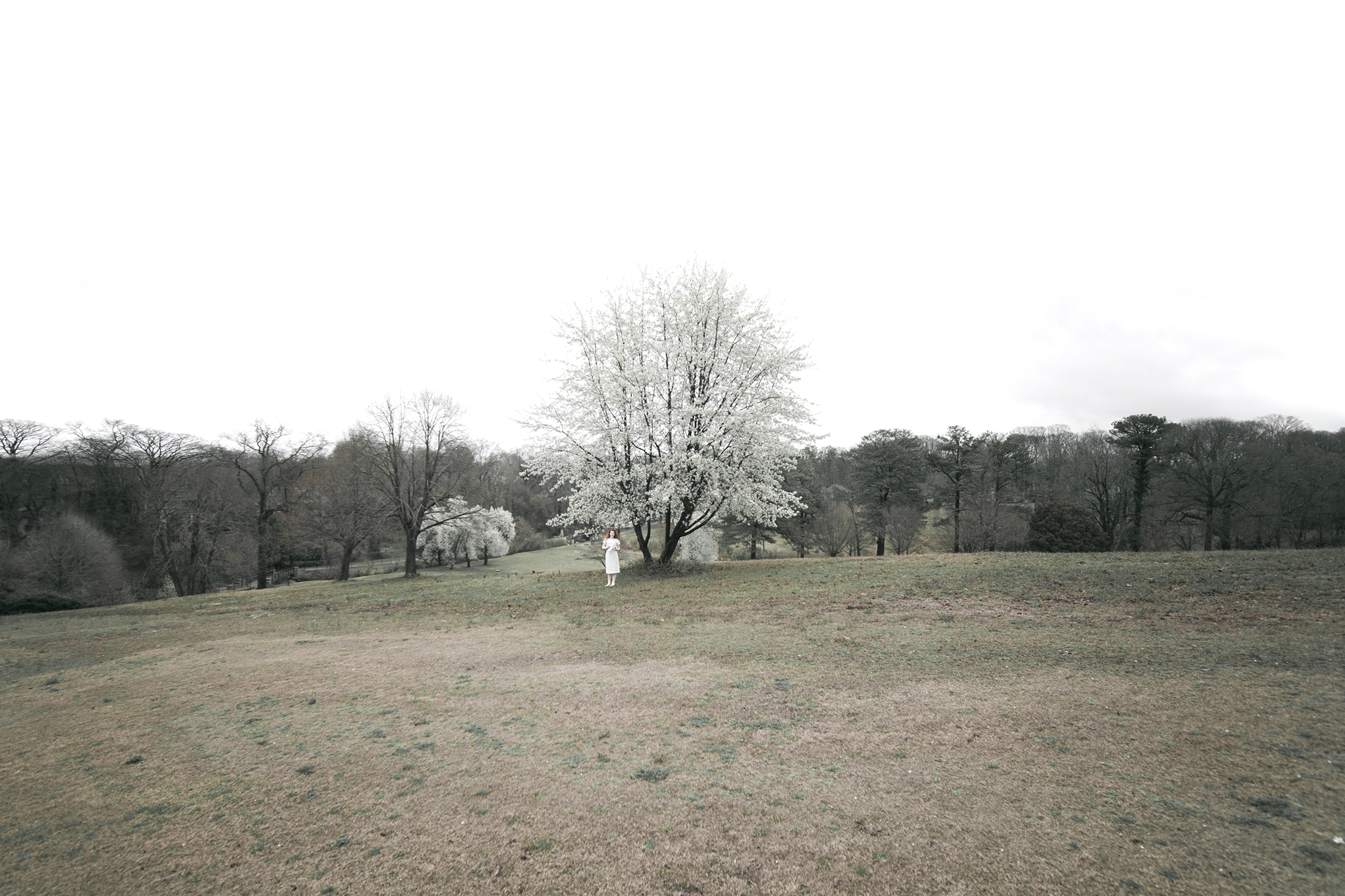 _N3T7562R_Resize2.jpg