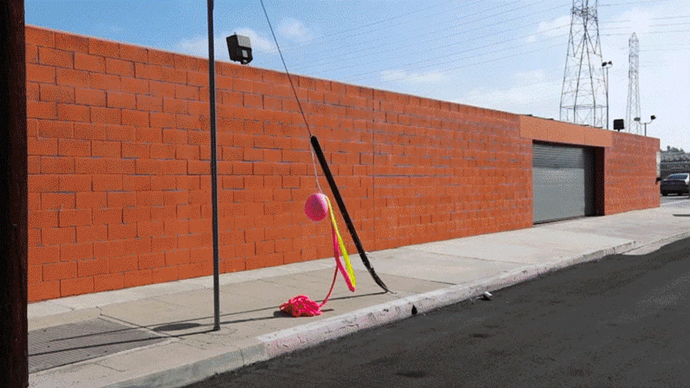 WEAR THE WILD THINGS R