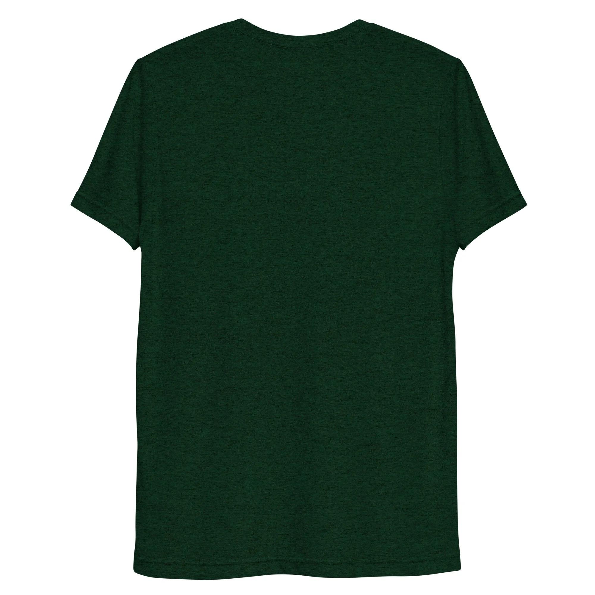 unisex-tri-blend-t-shirt-emerald-triblend-back-69261ca8dc5f7.jpg
