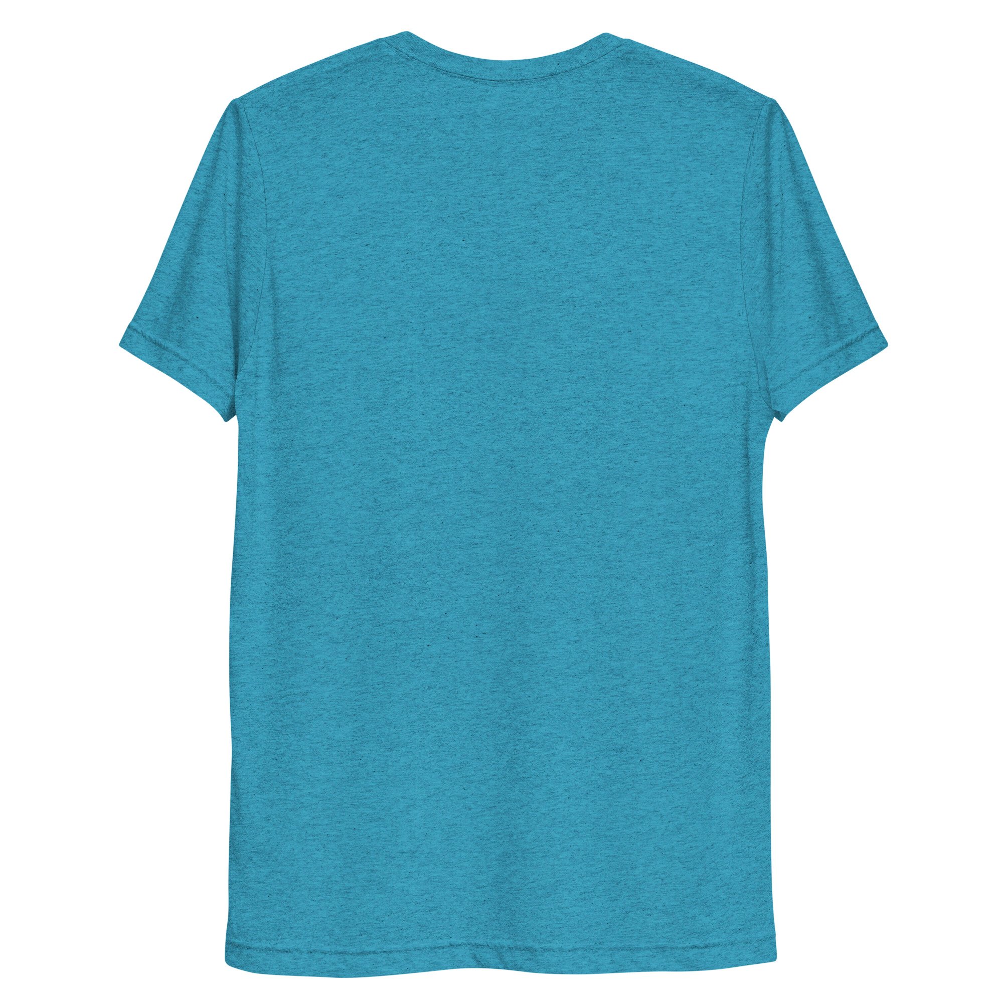 unisex-tri-blend-t-shirt-aqua-triblend-back-69261ca9b1b4b.jpg