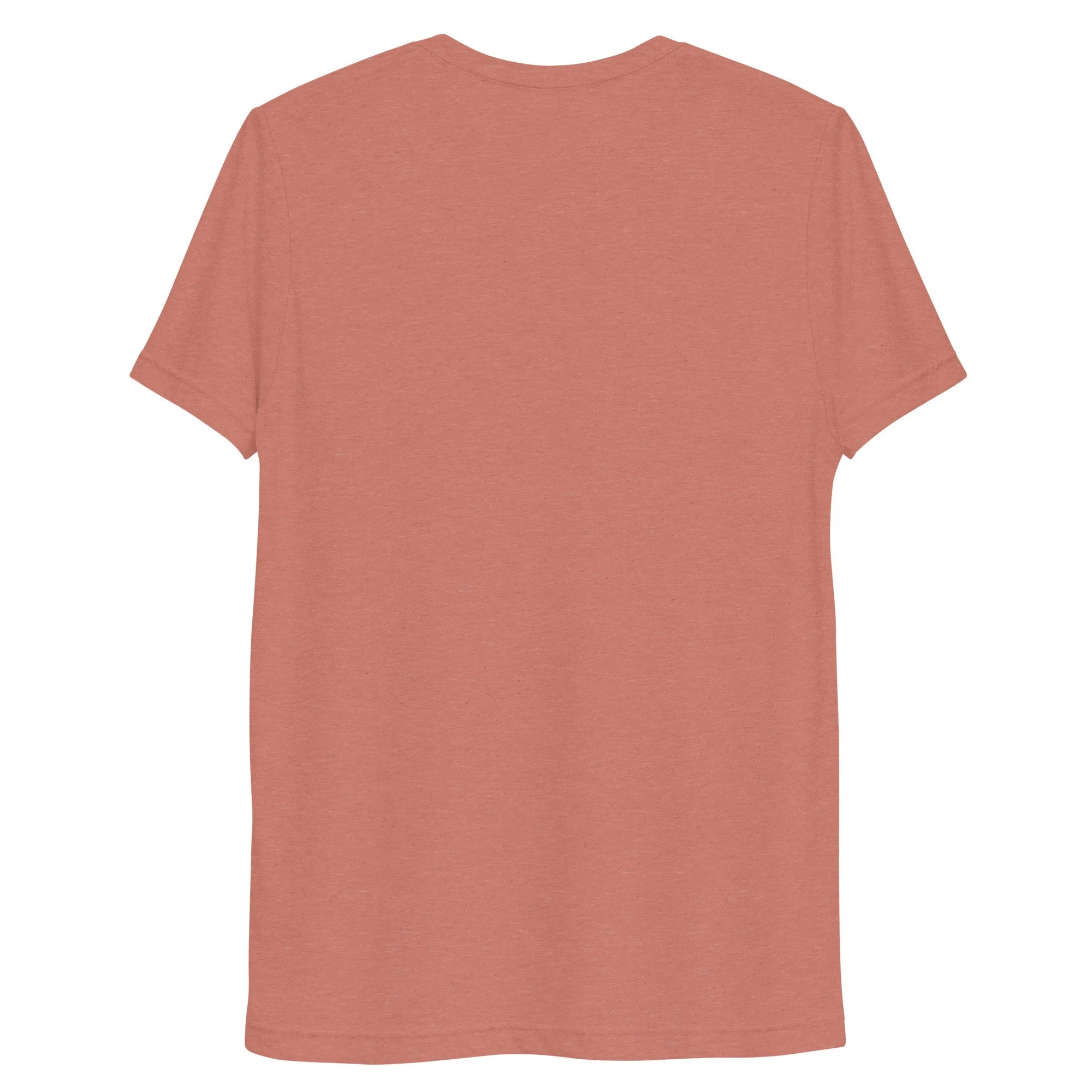 unisex-tri-blend-t-shirt-mauve-triblend-back-69261ca9d6f4b.jpg