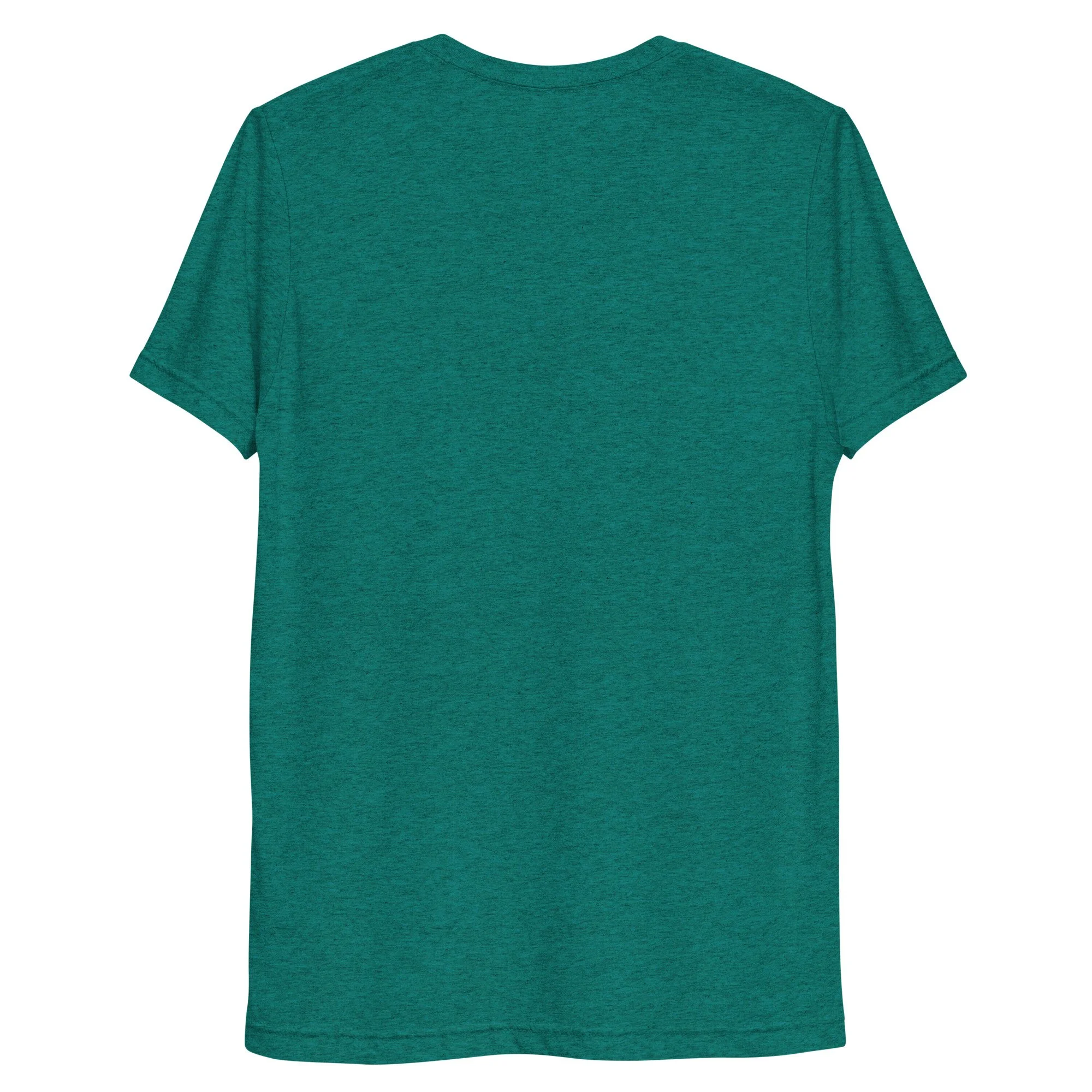 unisex-tri-blend-t-shirt-teal-triblend-back-69261da35a060.jpg