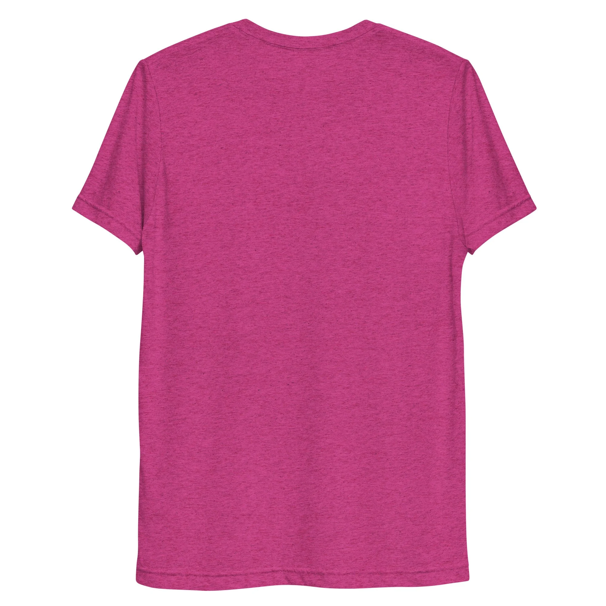 unisex-tri-blend-t-shirt-berry-triblend-back-69261df978baf.jpg