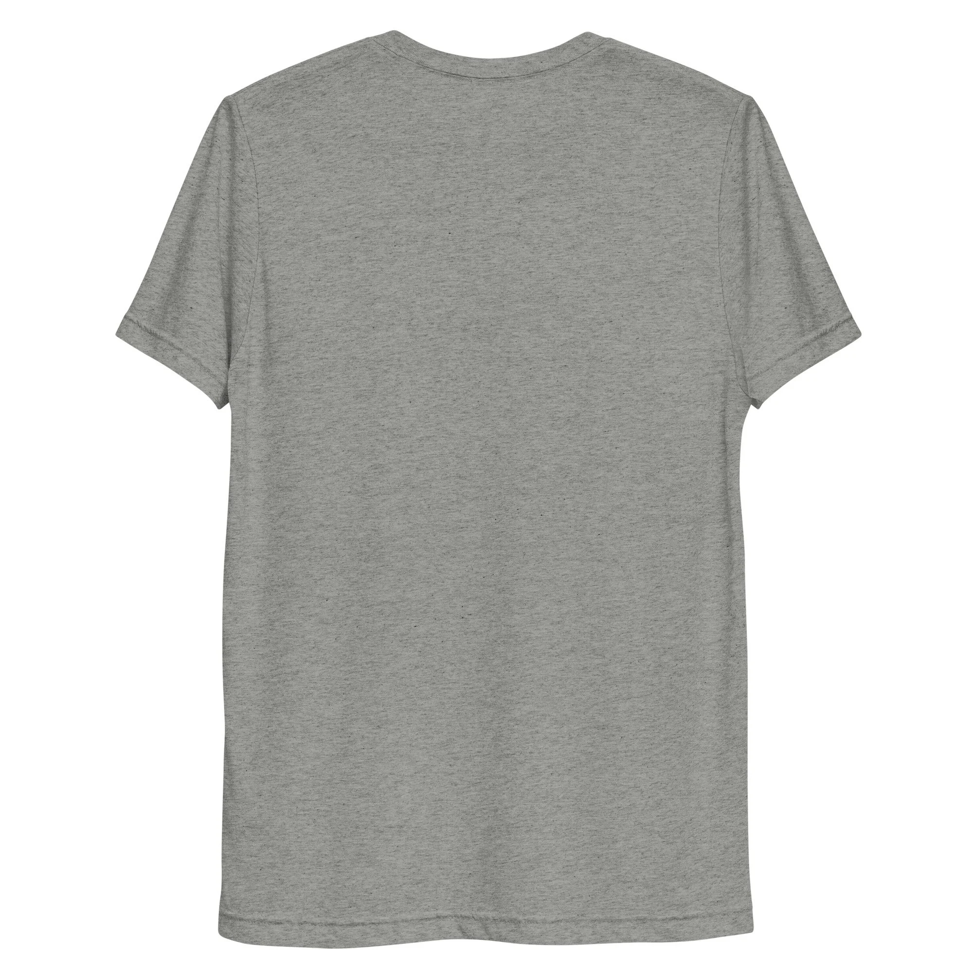 unisex-tri-blend-t-shirt-athletic-grey-triblend-back-692e1a4f0c12e.jpg