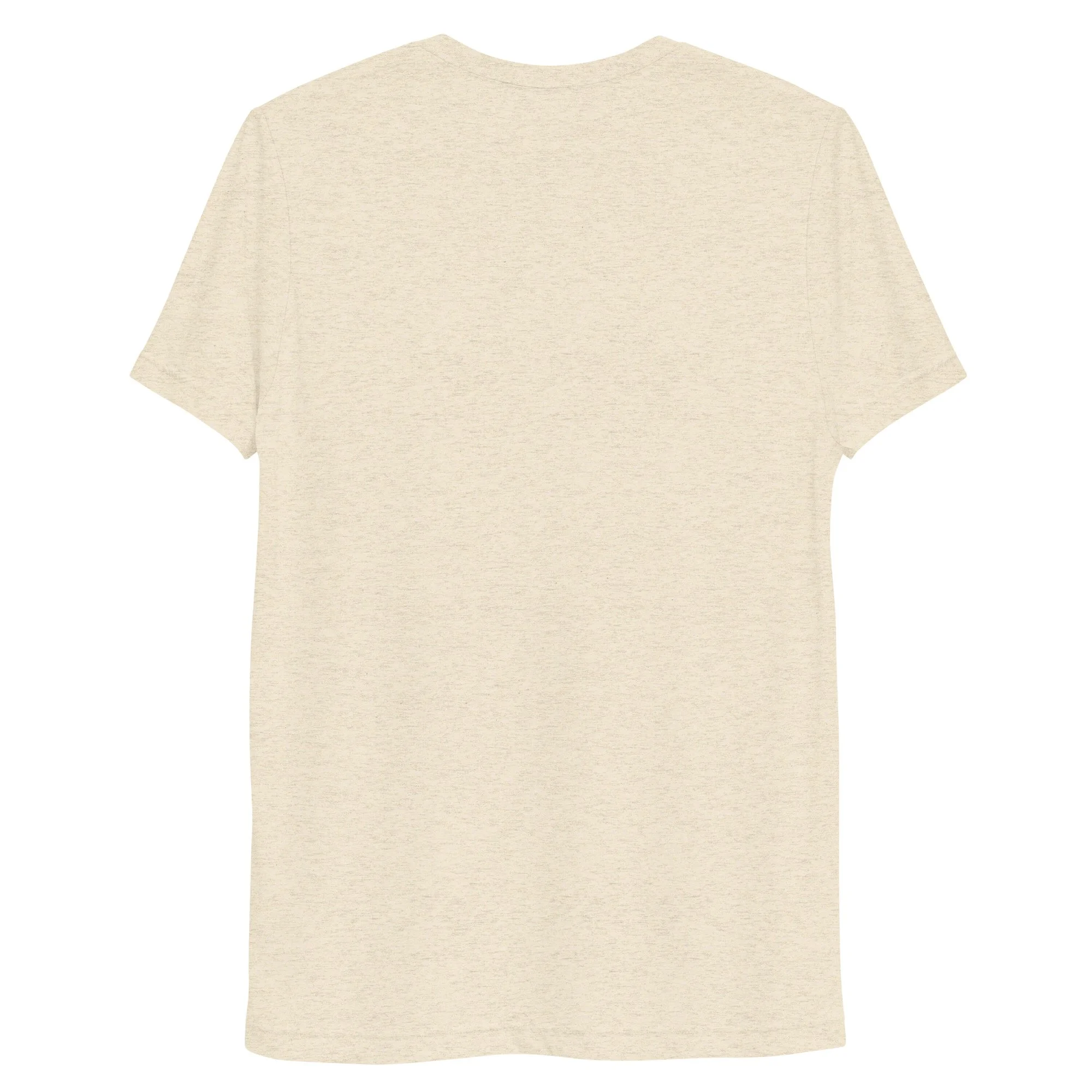 unisex-tri-blend-t-shirt-oatmeal-triblend-back-692e1a4f46c40.jpg