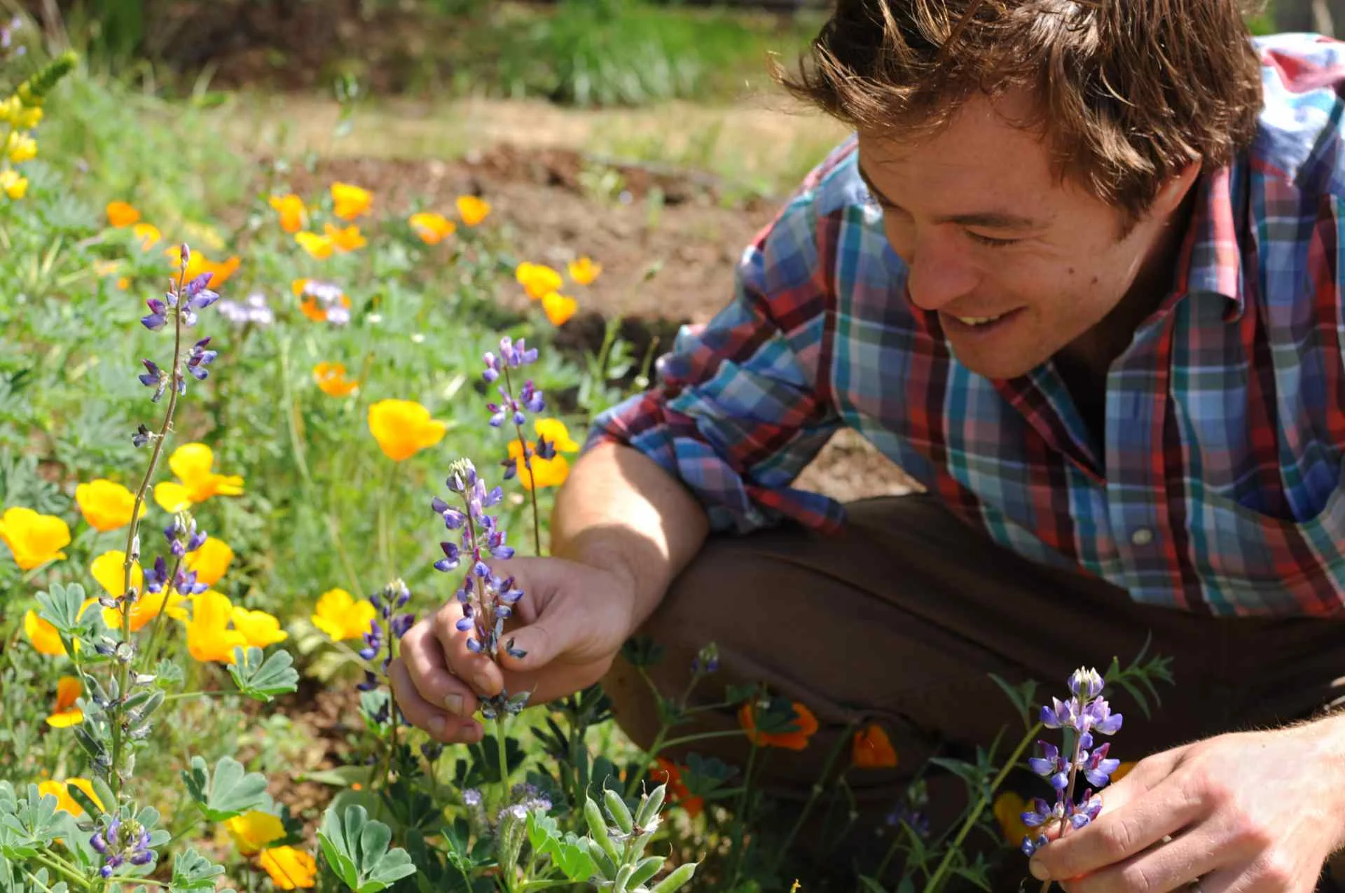 Our team of expert designers and landscapers can take care of the hard parts of your project. Pictured: founder and ecologist Billy Krimmel, PhD
