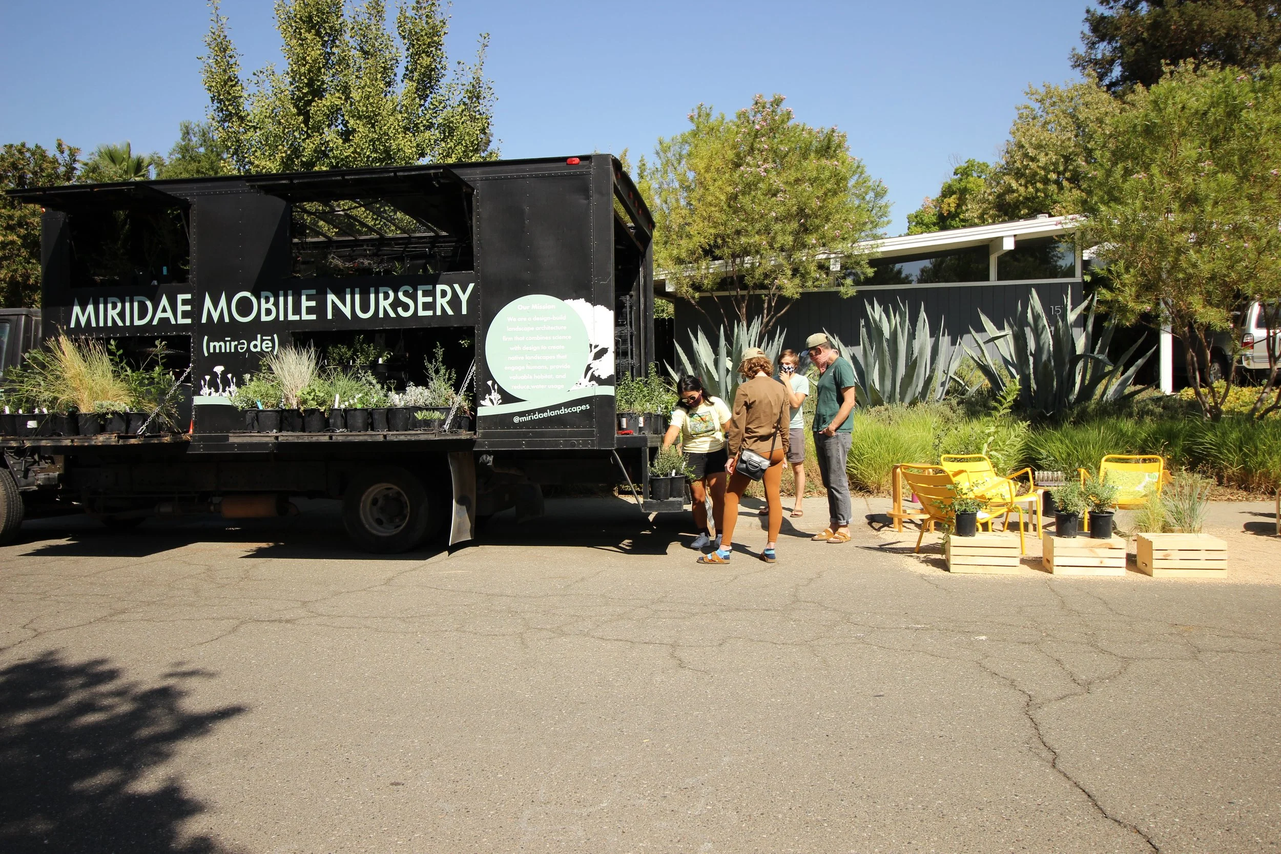 Z Specialty Food/ The HIVE (Woodland) 