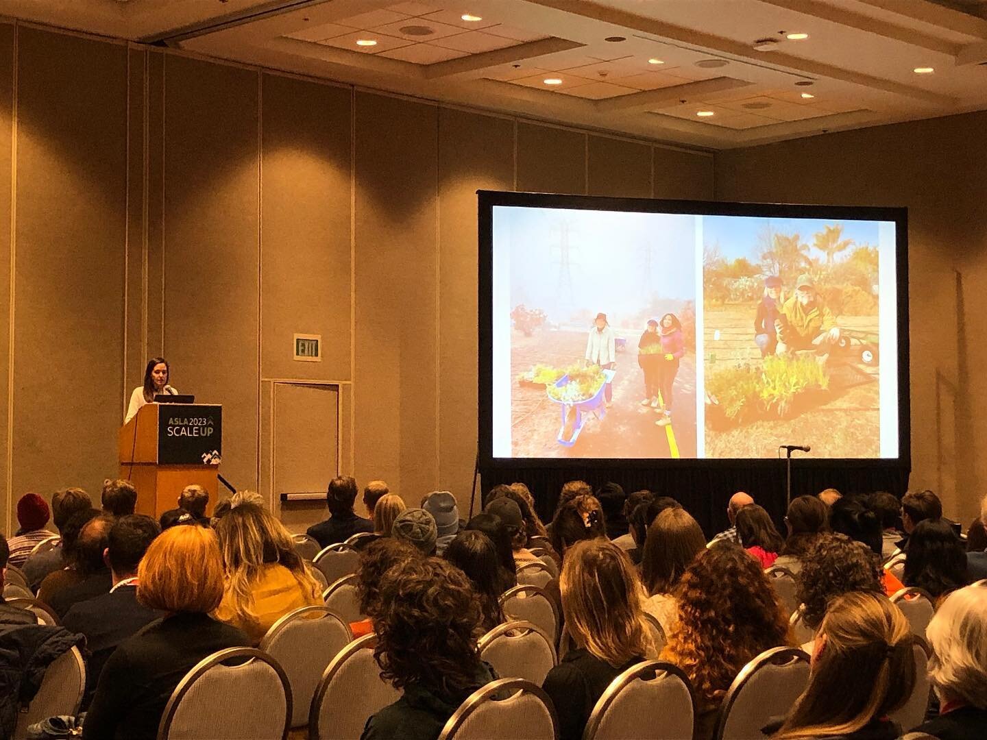 We had a great time at the @nationalasla conference in Minneapolis this past weekend! Lots of learning, meeting up with new and old friends, and urban exploring... Our Design Principal Kate also gave a talk on Miridae&rsquo;s work with @natomasgarden