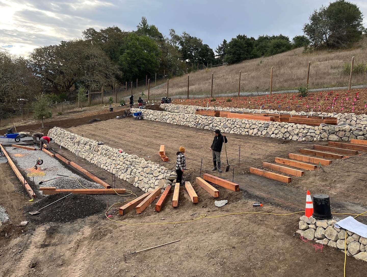We have been hard at work on a project in Santa Rosa constructing drystack walls, installing timber steps and raised beds, and planting native meadows around a lovely hillside home that has an equally beautiful view... A huge shoutout to our construc