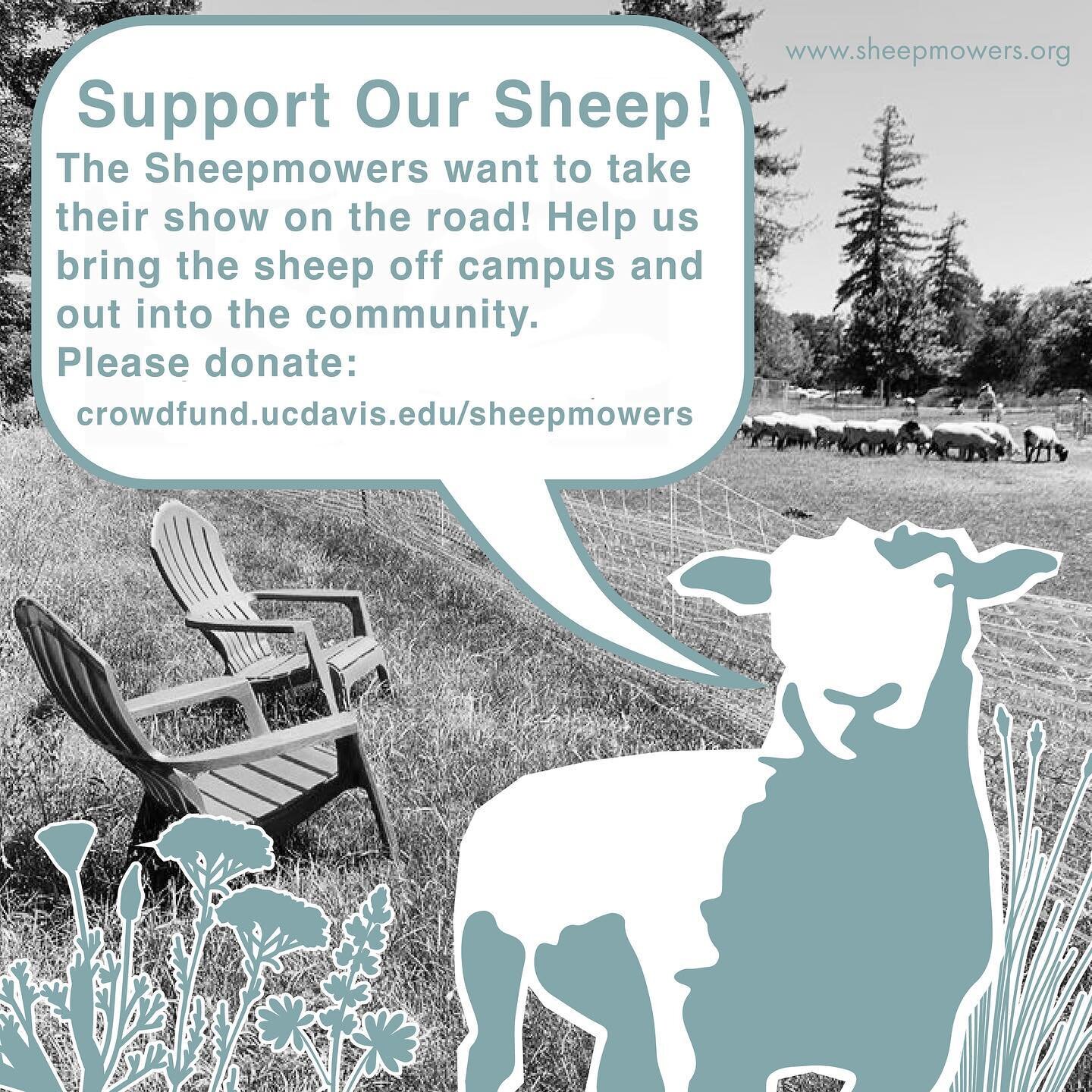 Our friends at the @ucdavis_sheepmowers are raising money during the month of February to expand their program and provide the sheep with a more permanent (and long term) location! This will allow the team to grow their work applying grazing landscap