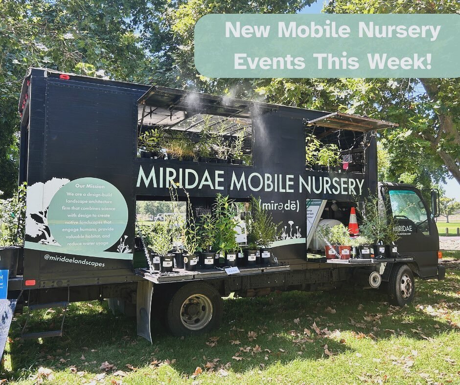 Thankfully, this is not an April Fool&rsquo;s joke! The Miridae Mobile Nursery is back just in time for April, aka Earth Month 🌿
Find us at three events this week:

Friday (4/5): 11am-1pm at North Natomas Library @northnatomaslibraryfriends for a na
