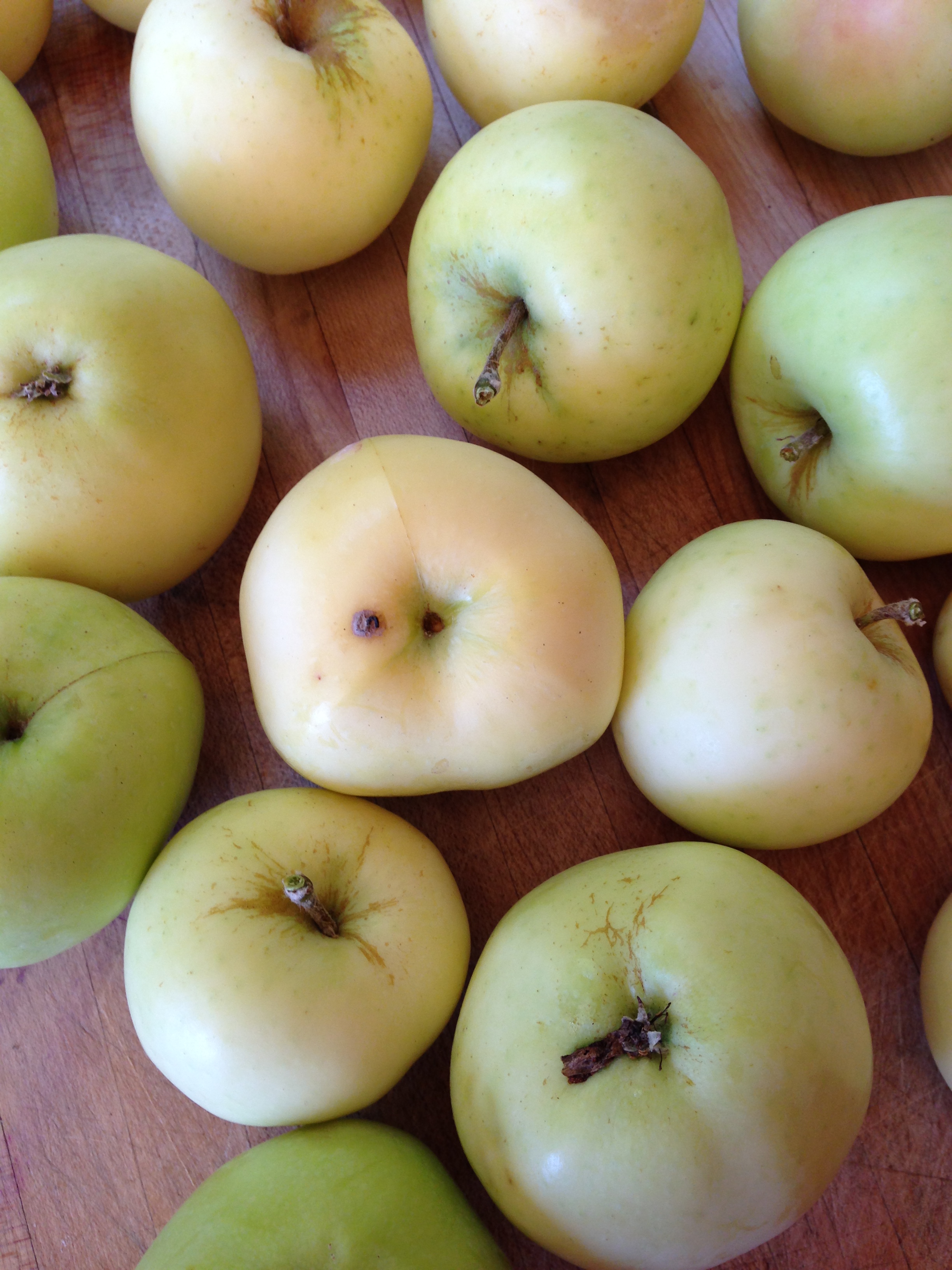 Lovely Yellow Transparent Apples! 