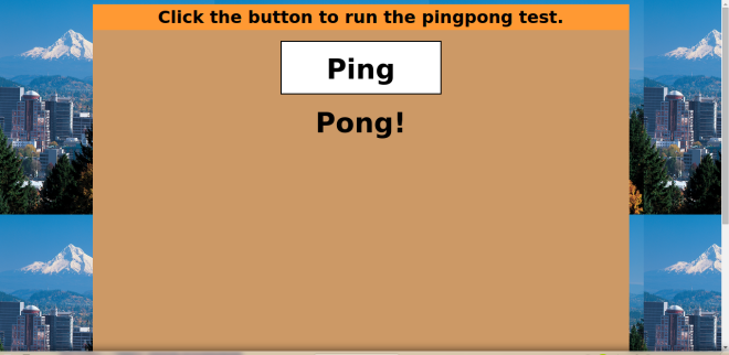 Ping Pong test website built for my Epicodus application.