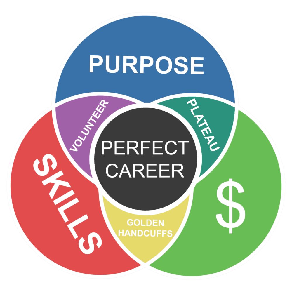 Perfect+career+diagram+new.png