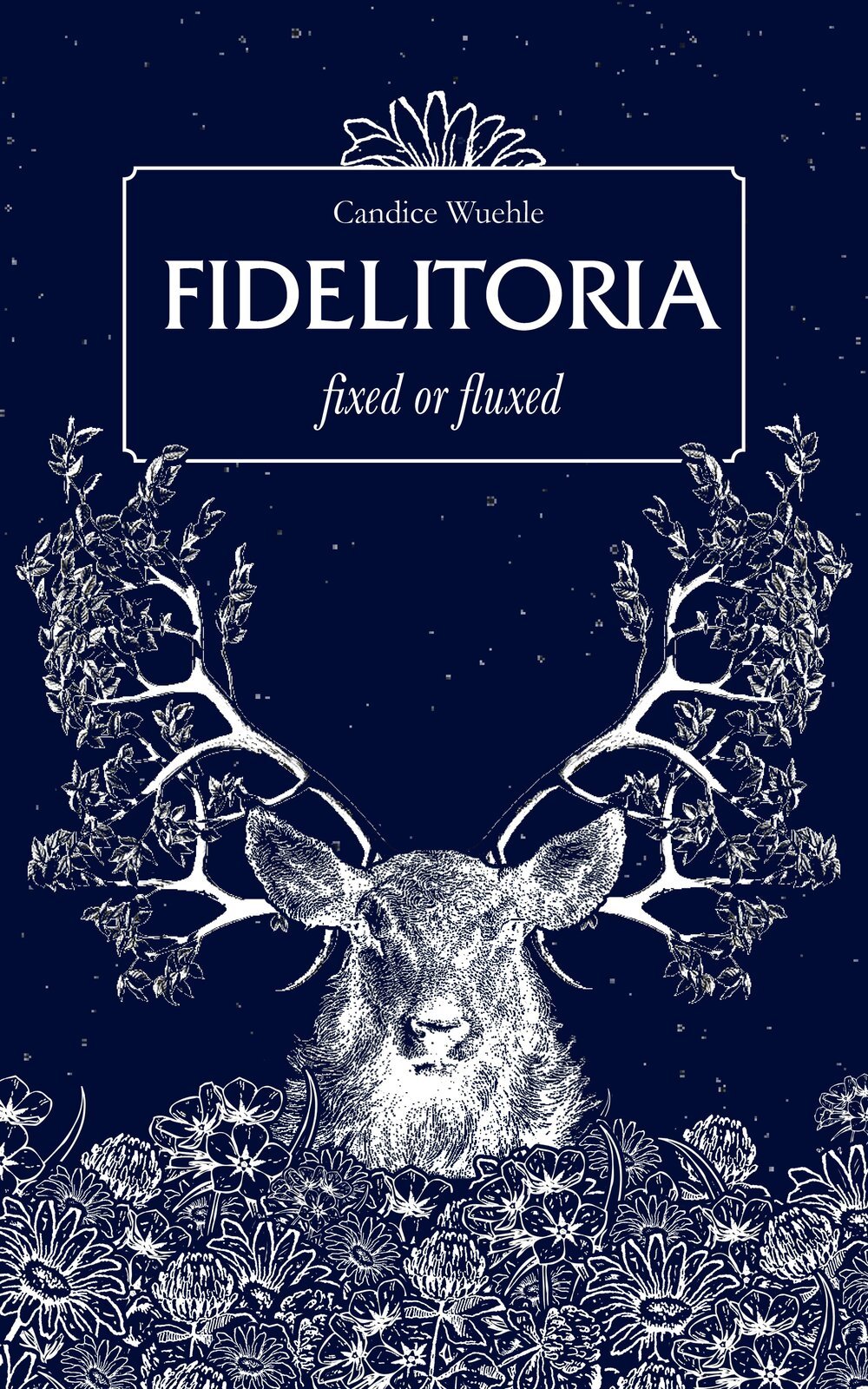 Fidelitoria_Fixed or Fluxed_Candice Wuehle FRONT COVER.jpg