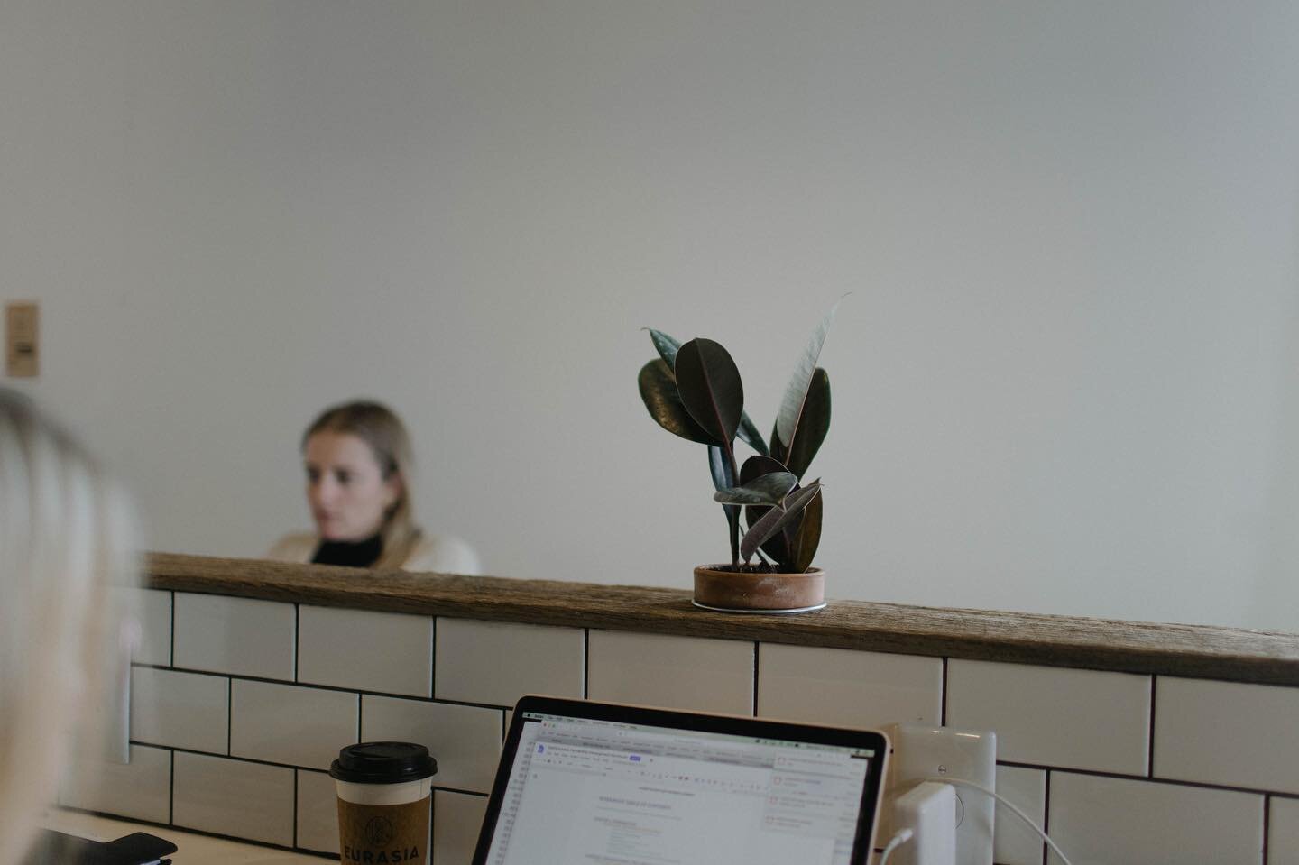 $10/day for the social desk, which includes free single-origin coffee, up to 10 prints if you need and access to a refrigerator/microwave. And most importantly - plants. Lots of plants.