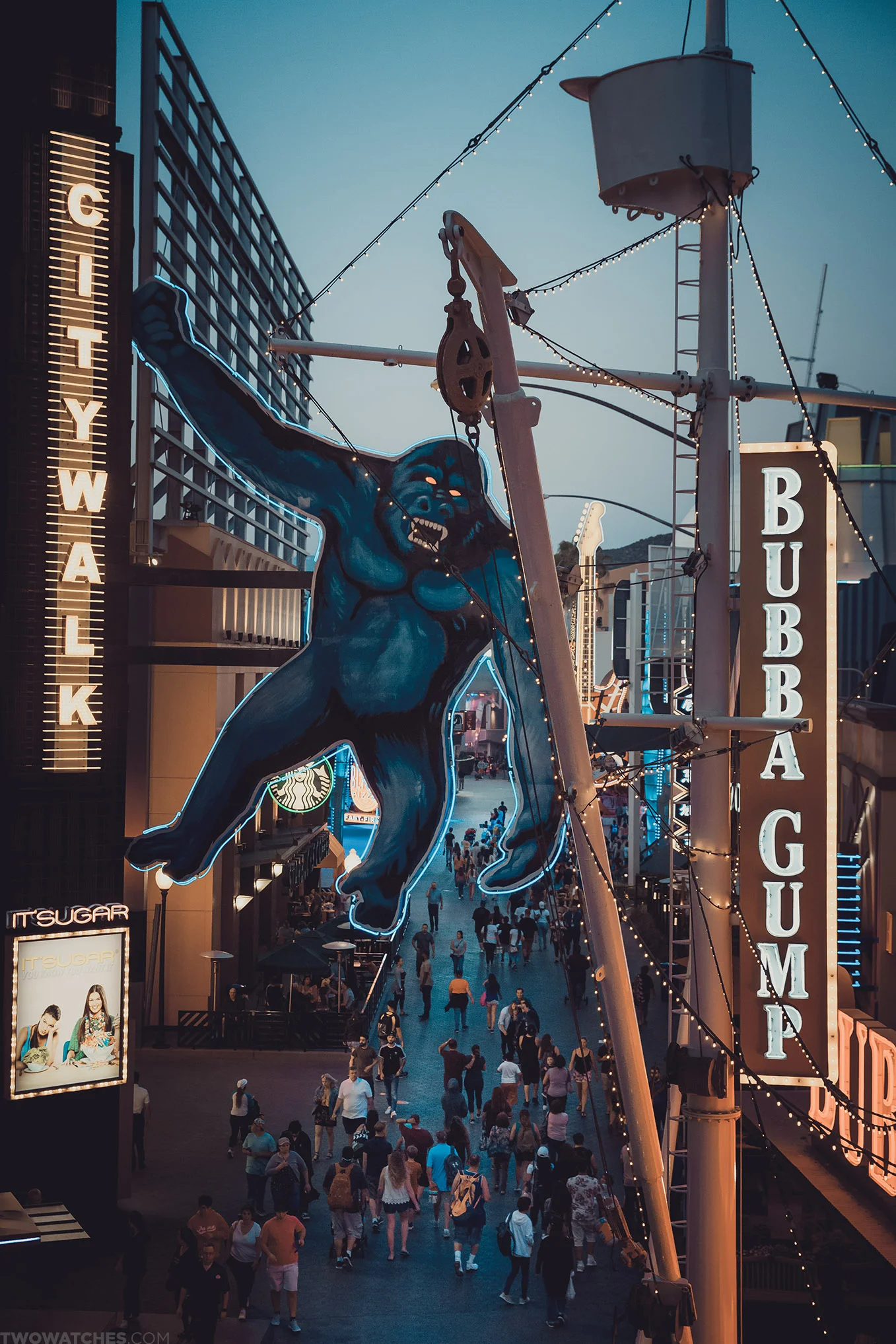 5D3B7860-JW.jpg