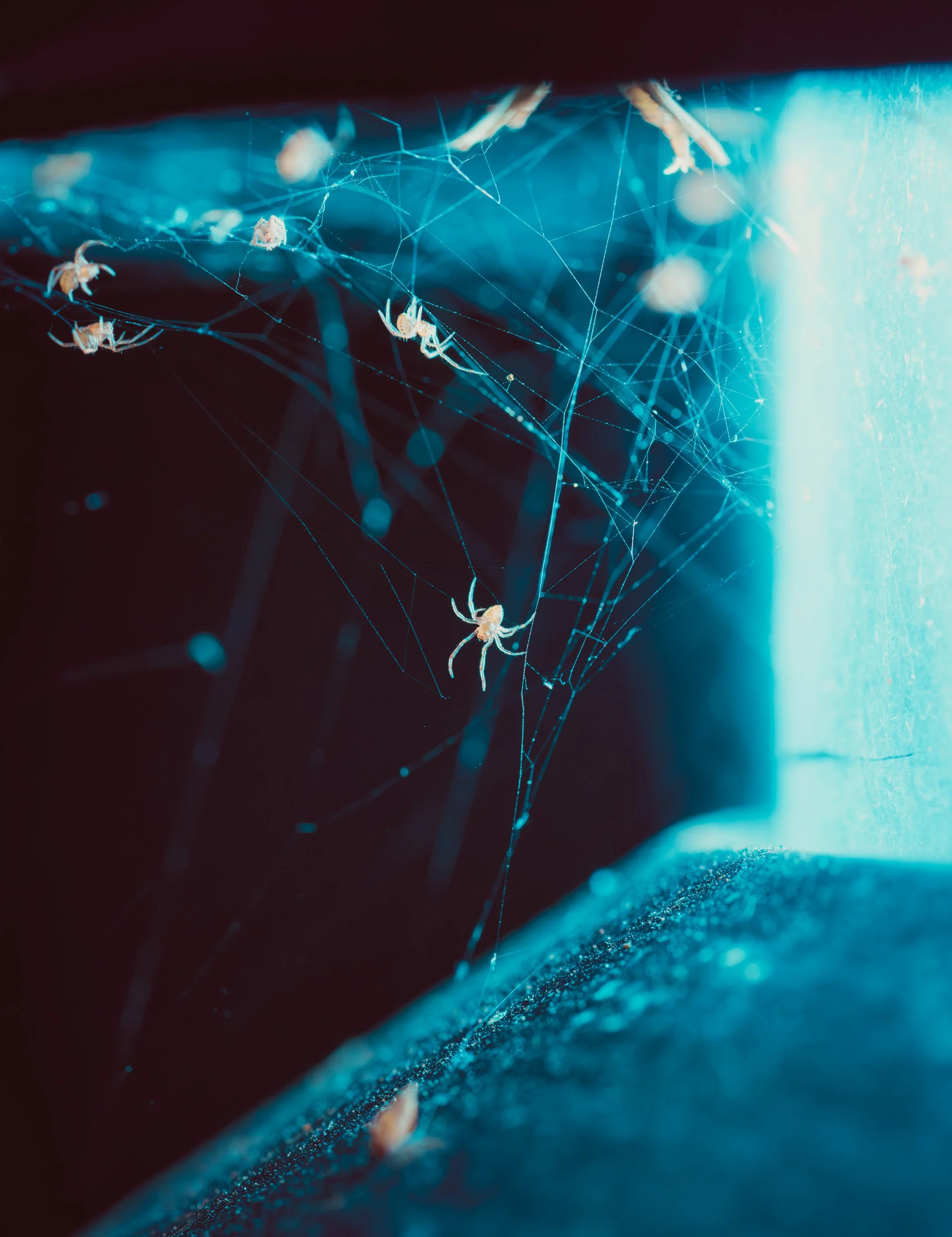 25_A9242-JI.jpg