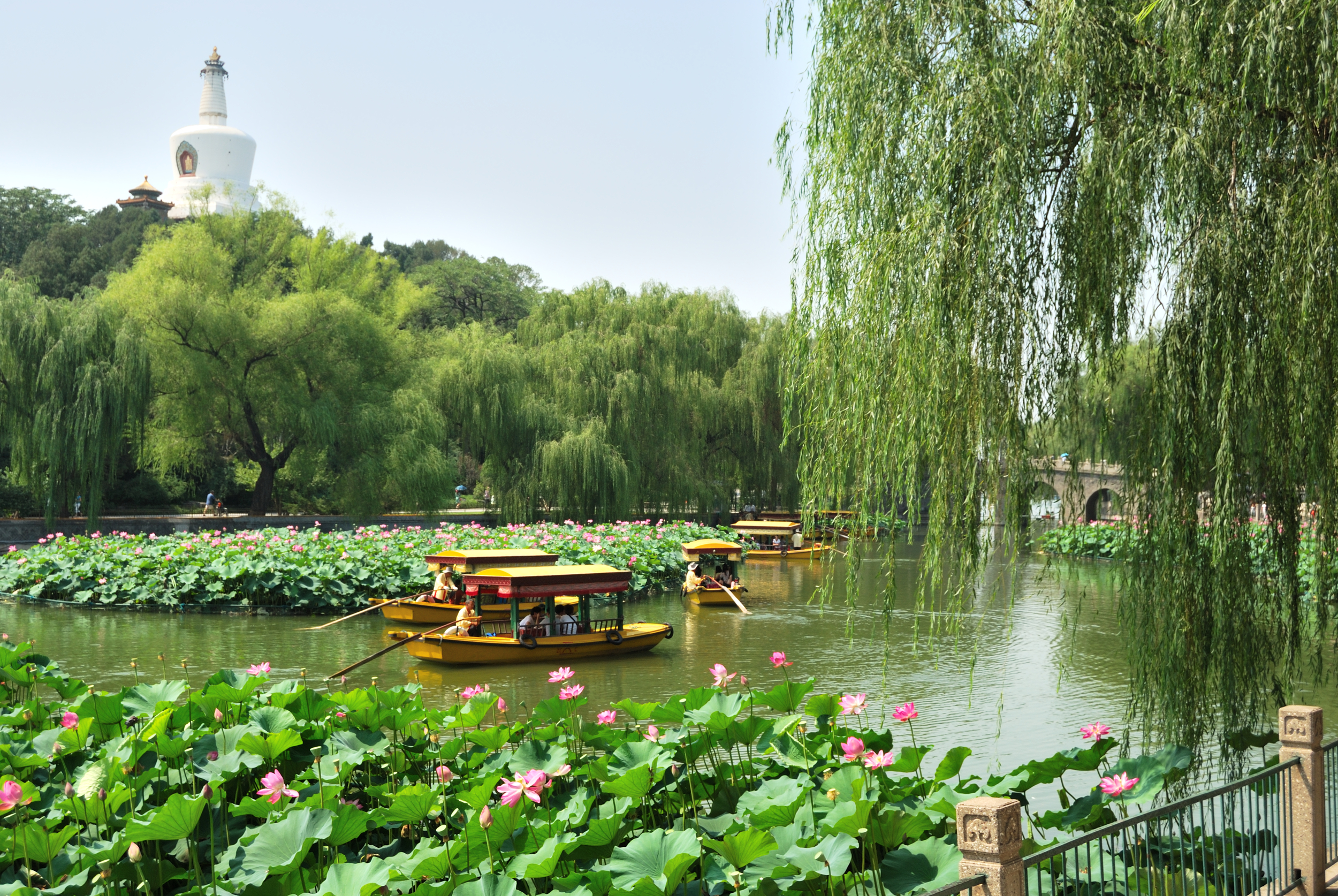 Asian paradise <3