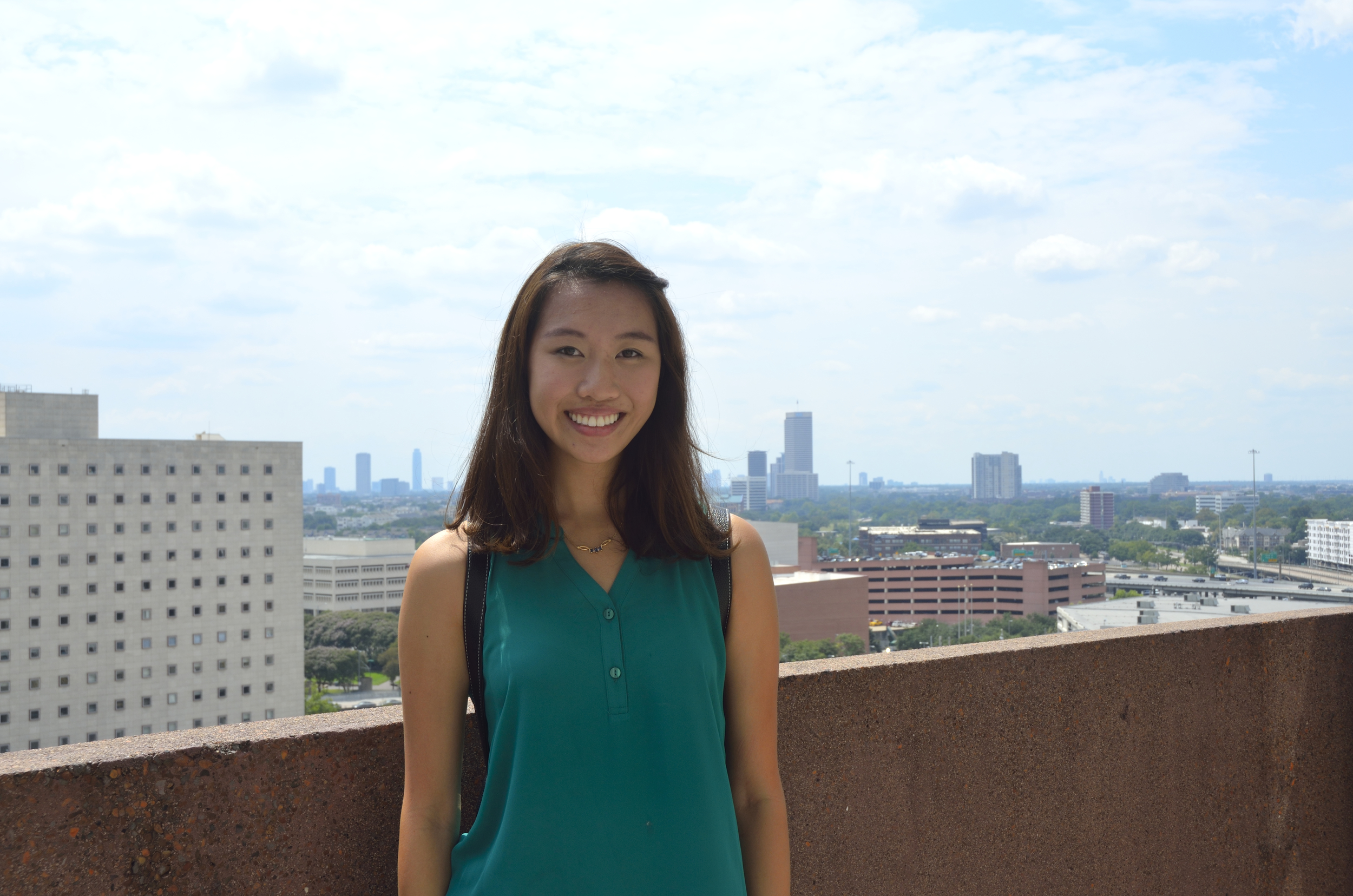 This was taken on a different day but it was on top of the Alley Theater! 