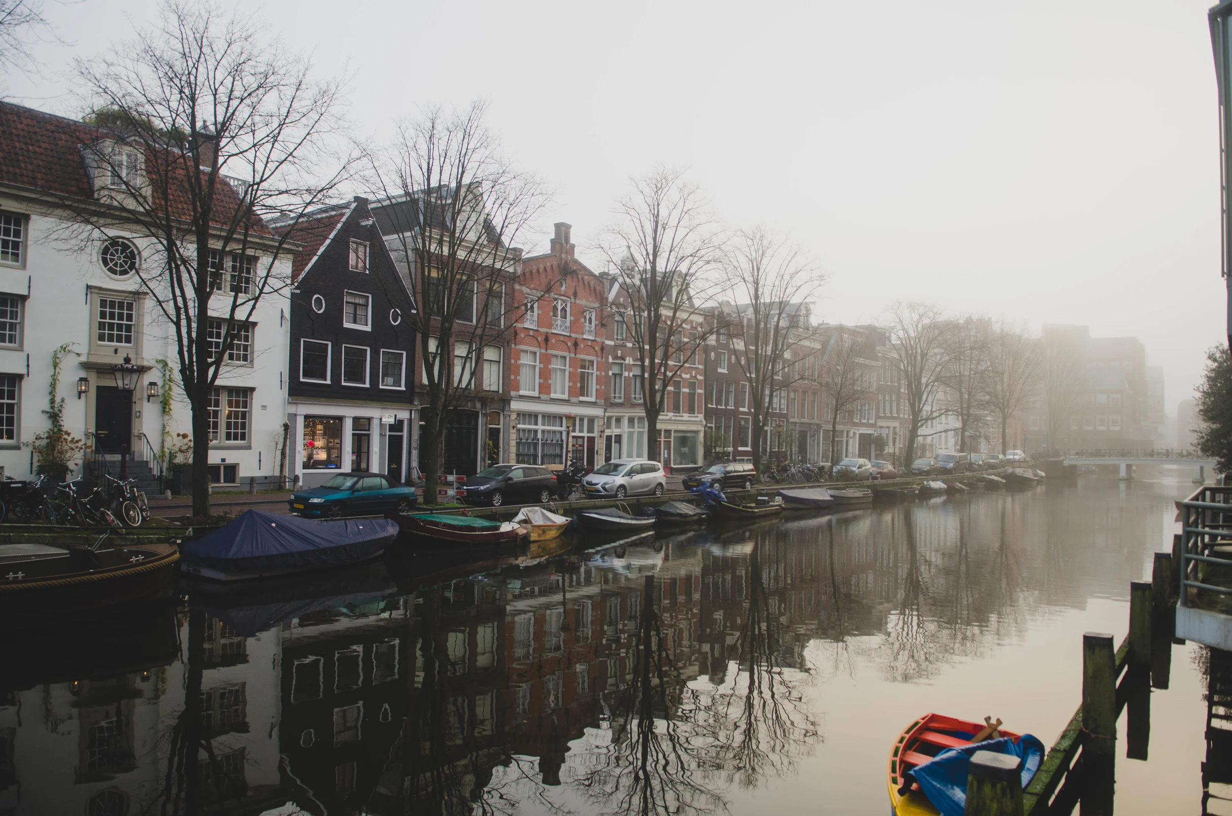 DSC_2549.jpg