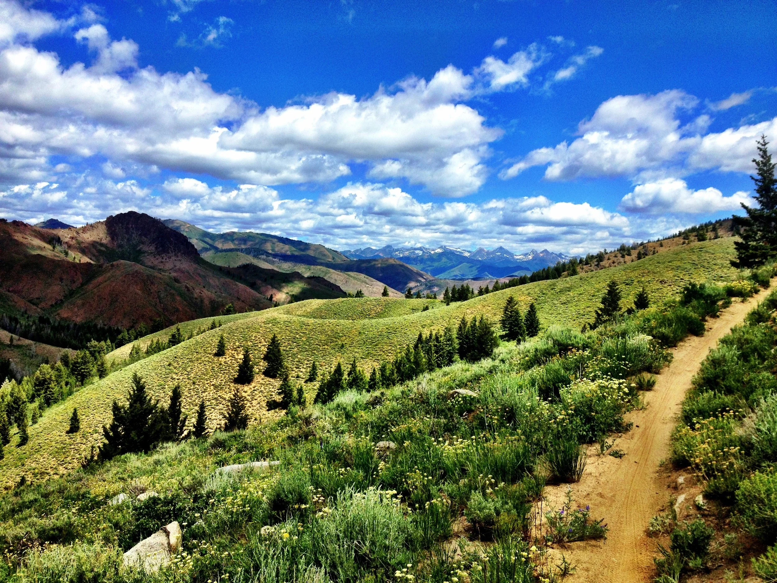Sun Valley trails in the summer. 