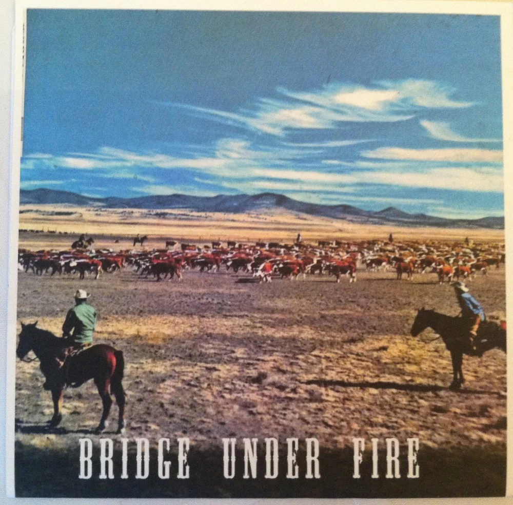 BUF split cover.jpeg