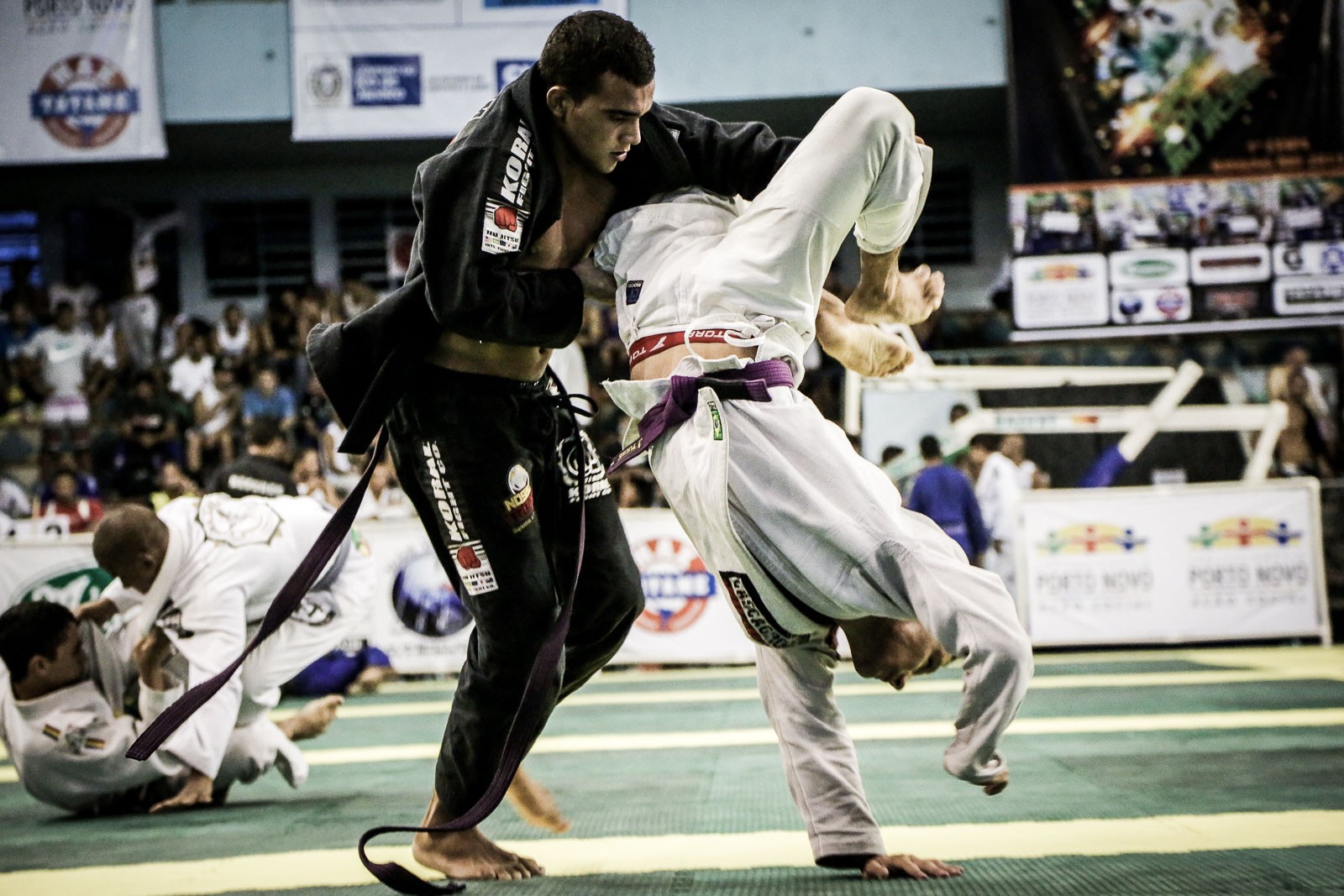 bjjpixwb4.jpg