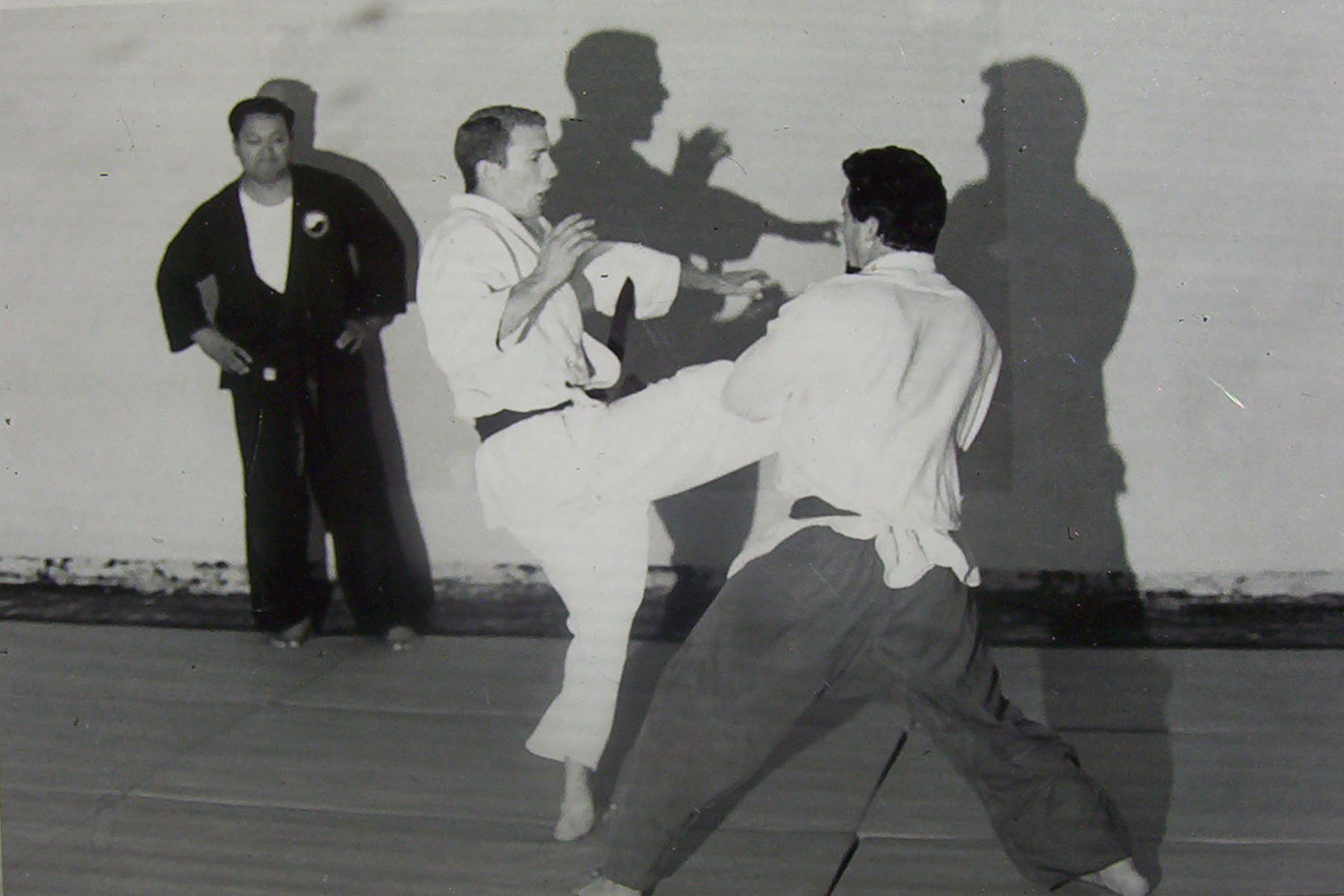Dad Jujitsu (2).jpg