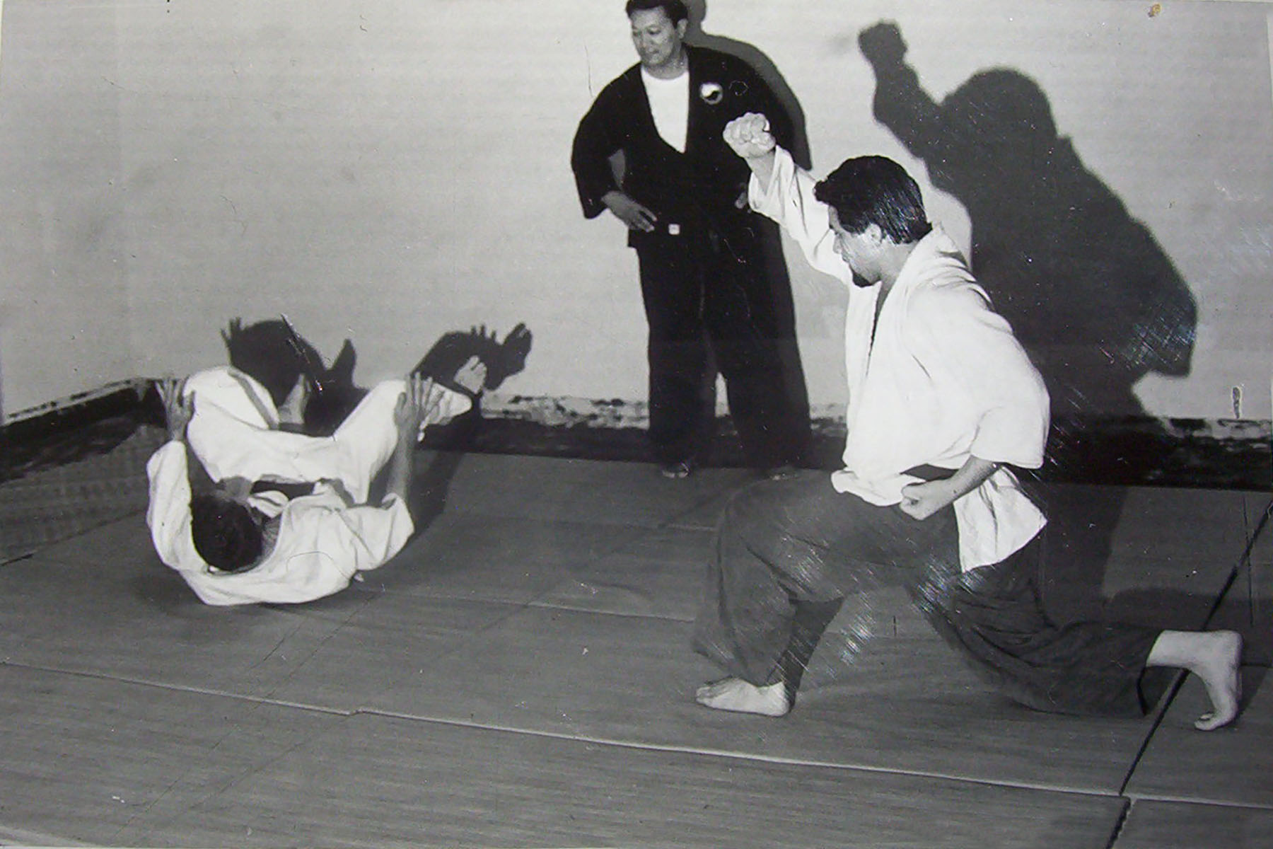 Dad Jujitsu (1).jpg