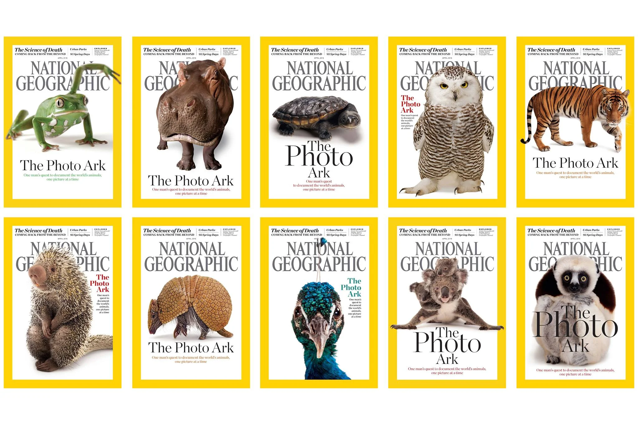 National Geographic Photo Ark covers. ©2017 Joel Sartore