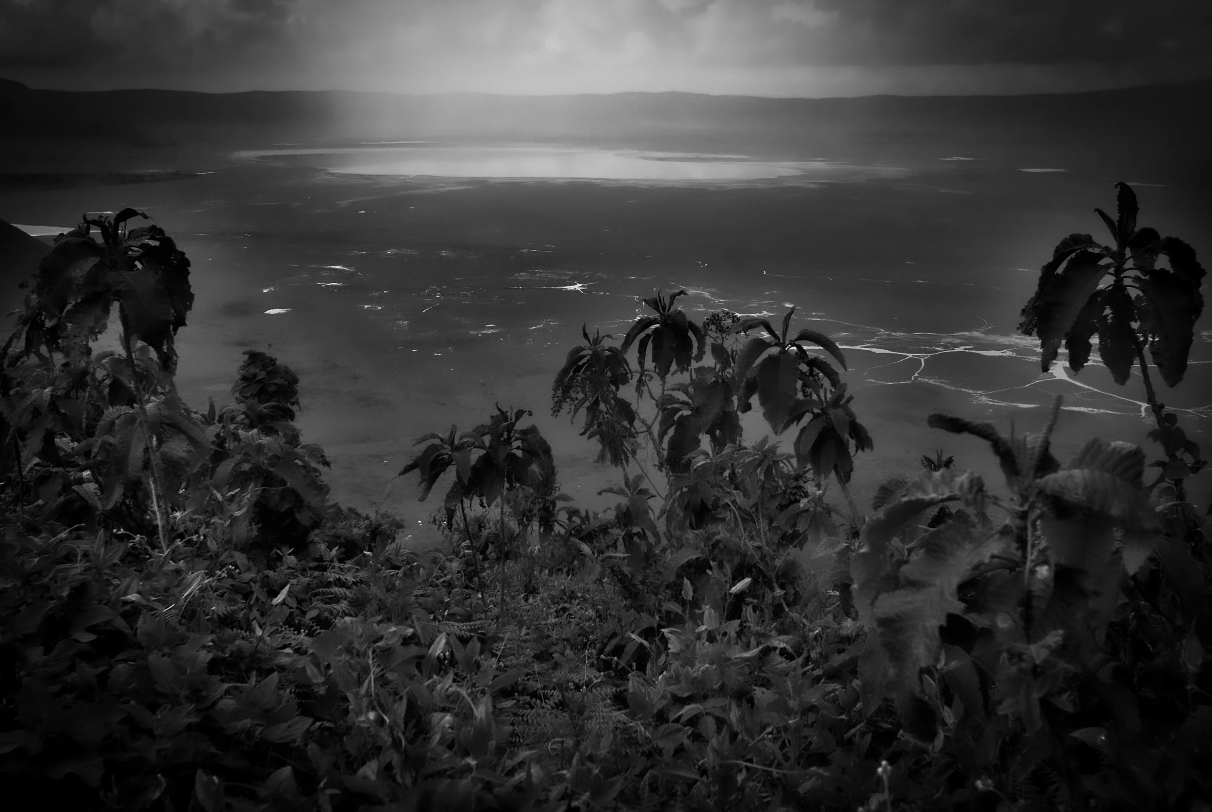 Ngorongoro Crater, Tanzania.