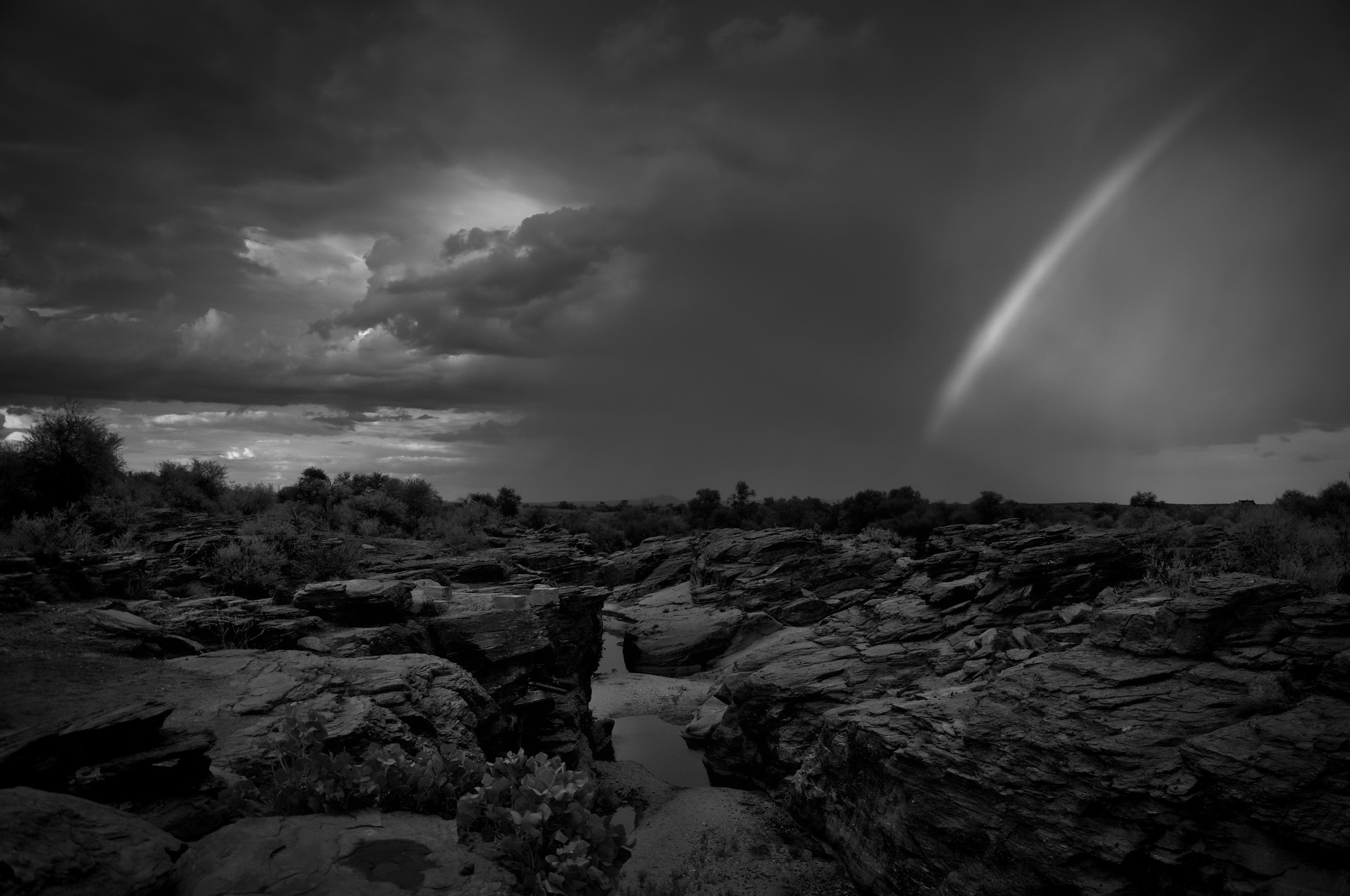 N/a'an ku sê Wildlife Sanctuary, Namibia.